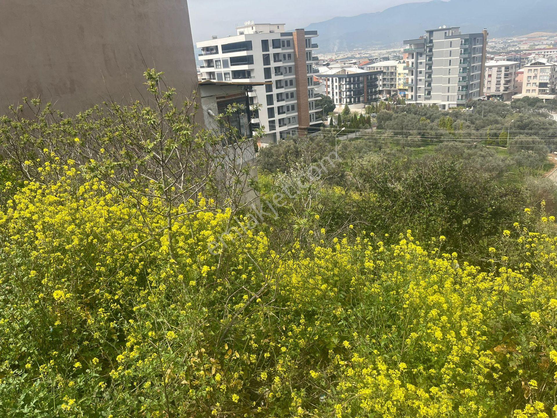 Yatırımlık! İzmir Kemalpaşa’da Manzaralı 188 M² Konut Arsası – Kot Avantajlı - Görsel 10