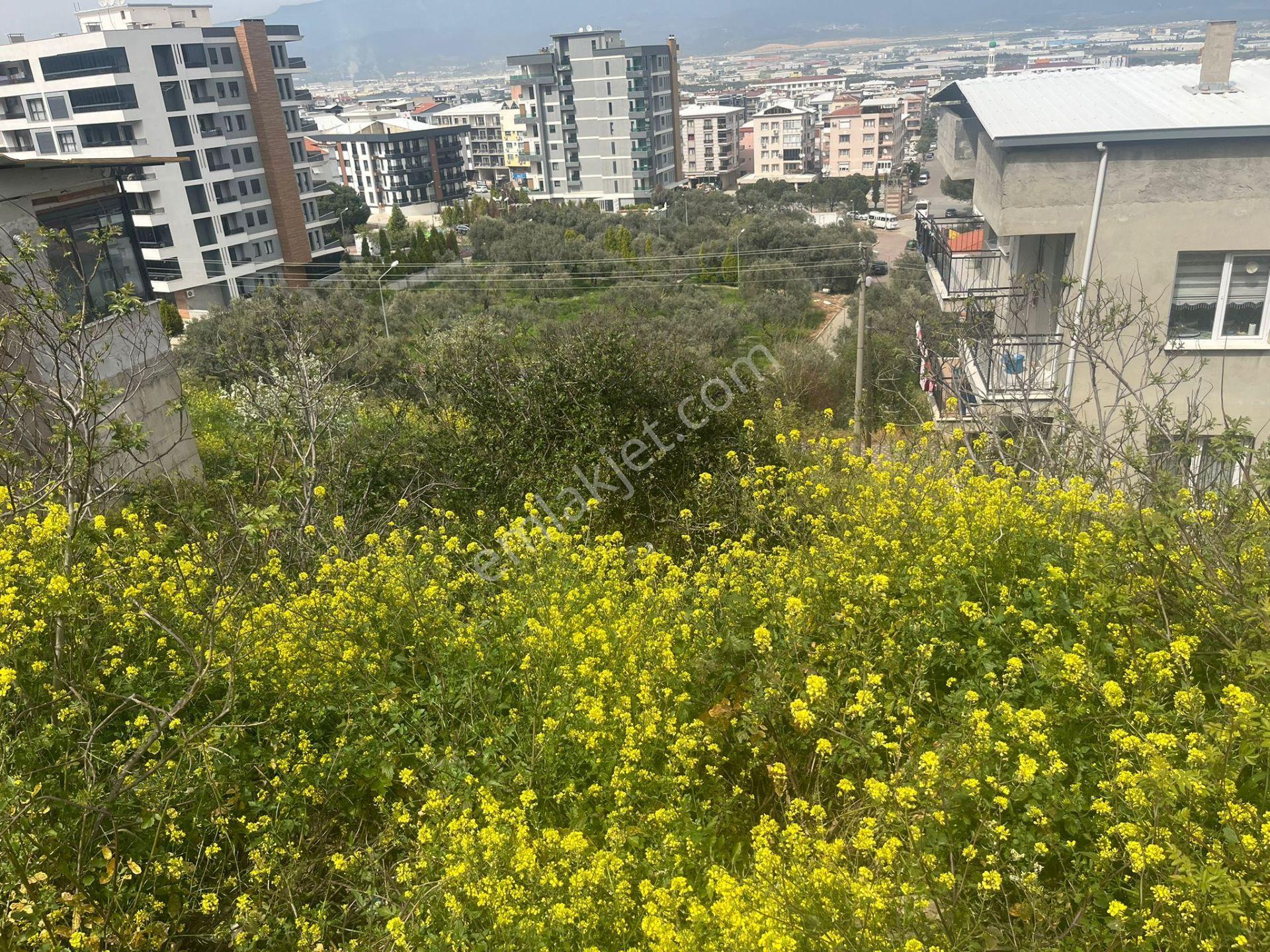Yatırımlık! İzmir Kemalpaşa’da Manzaralı 188 M² Konut Arsası – Kot Avantajlı - Görsel 14