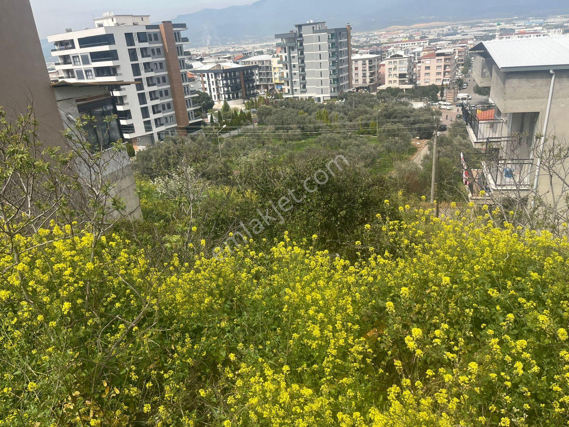 Yatırımlık! İzmir Kemalpaşa’da Manzaralı 188 M² Konut Arsası – Kot Avantajlı - Görsel 22