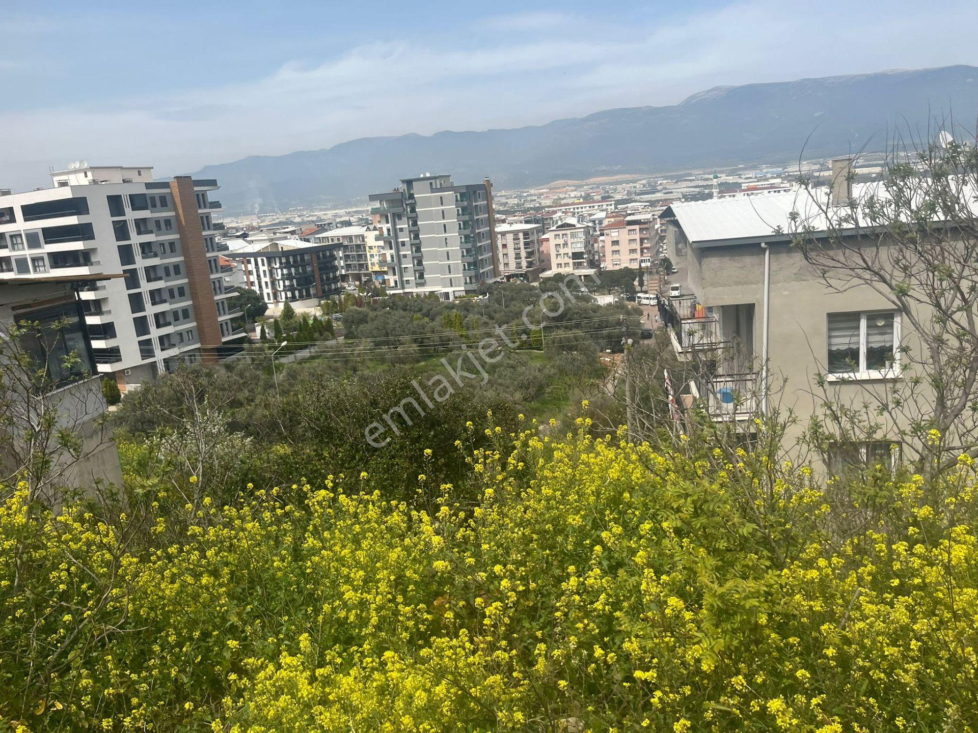 Yatırımlık! İzmir Kemalpaşa’da Manzaralı 188 M² Konut Arsası – Kot Avantajlı - Görsel 16
