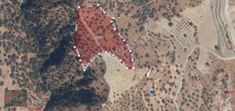 Rw Lıfe // Yaylapınar Mah. Sinekçiler Yakını Satılık Zeytinlik - Görsel 2