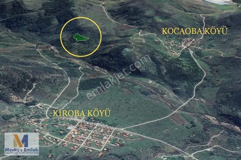 Merkez'den Kadastral Yol Cepheli, Çiftlik Evine Uygun Zeytinlik