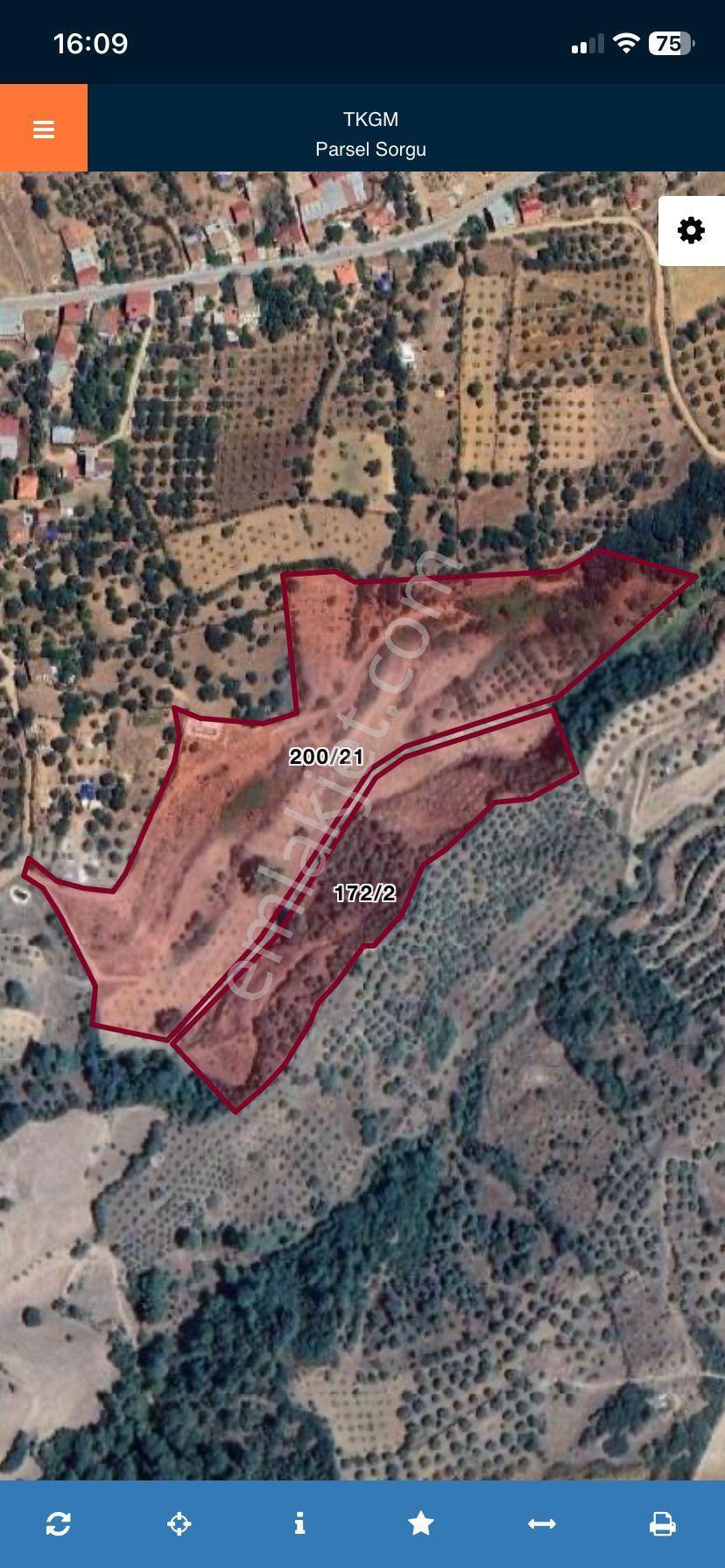 Karacasu Çamköy Zeytin Ve İncirlik - Görsel 9