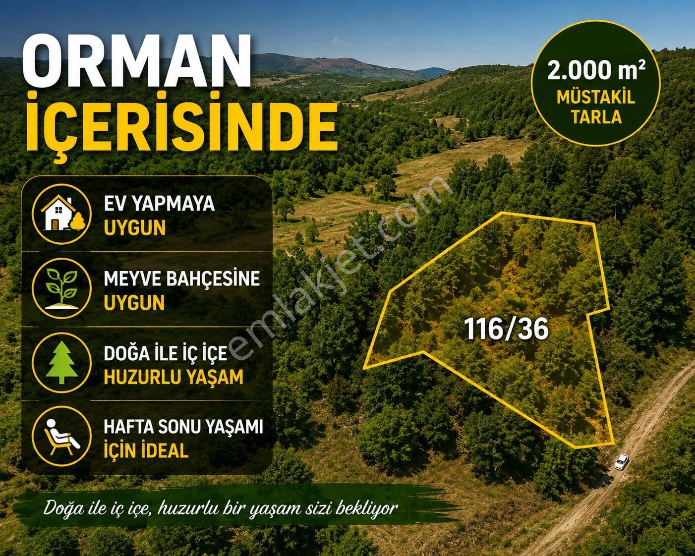 Orman İçerisinde, Huzurlu Konumda 2.000 M² Satılık Tarla - Görsel 3