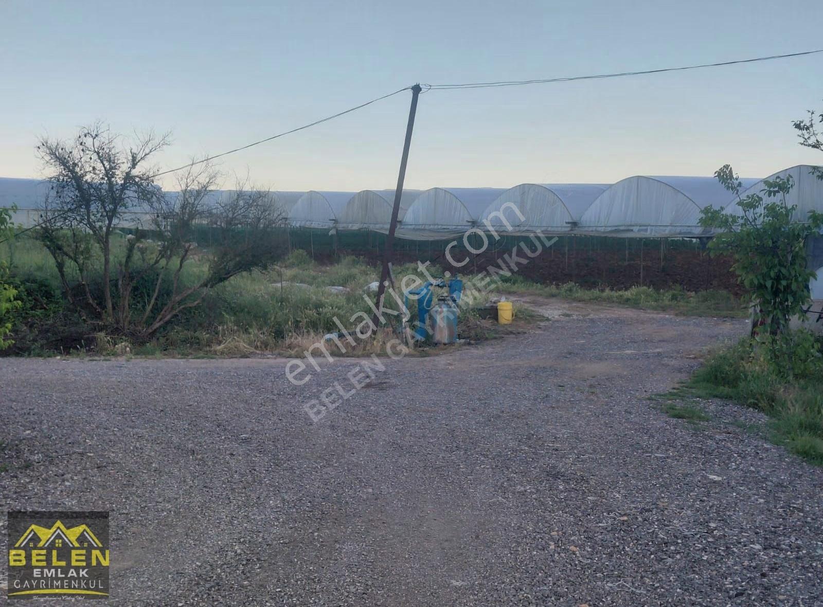 Köy Merkezine Yakin Yatırımlık Arsamiz - Görsel 3