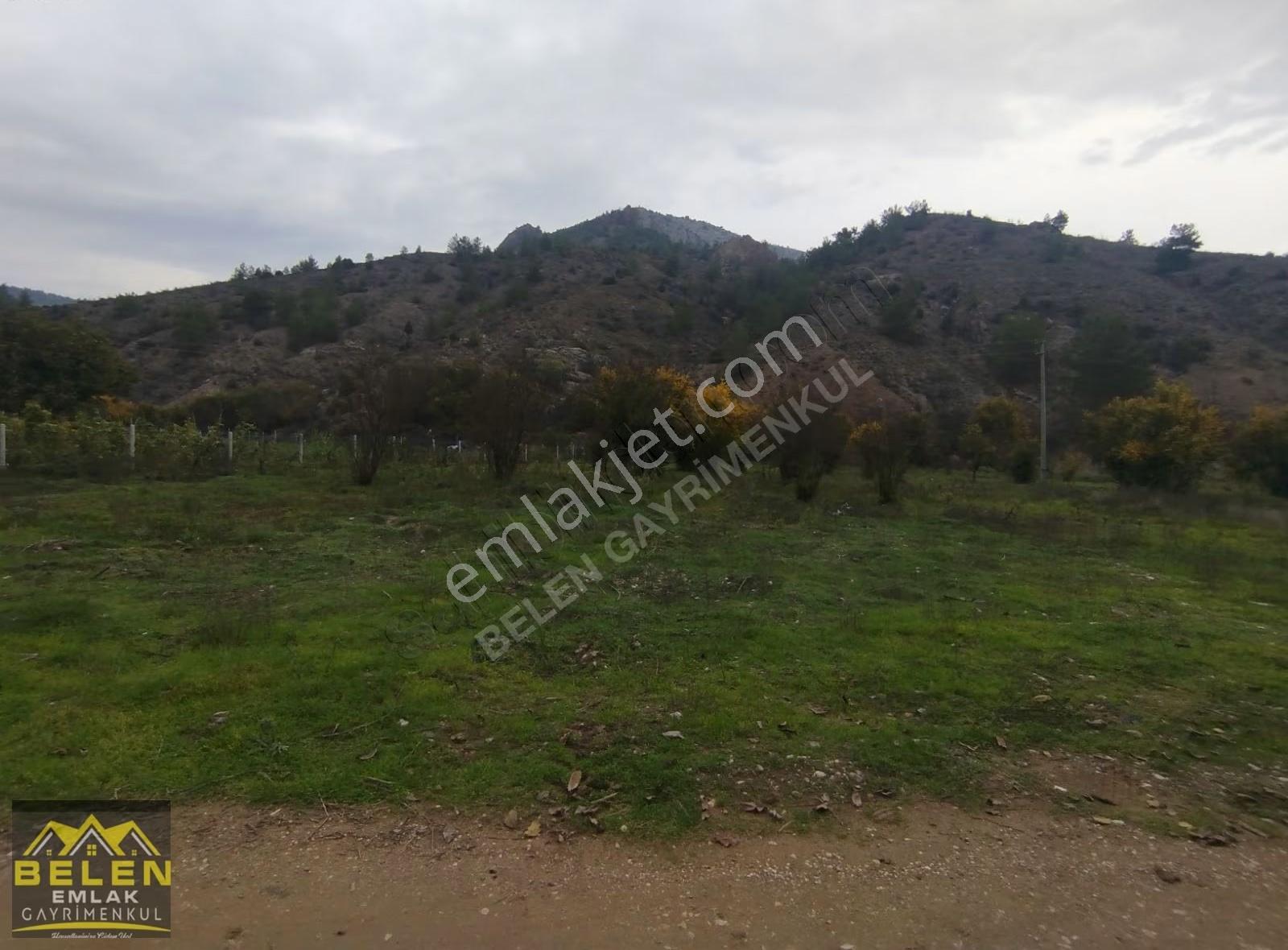 Sakarya Nehir Kenarında Resmi Yolu Suyu Olan Arsamız - Görsel 7