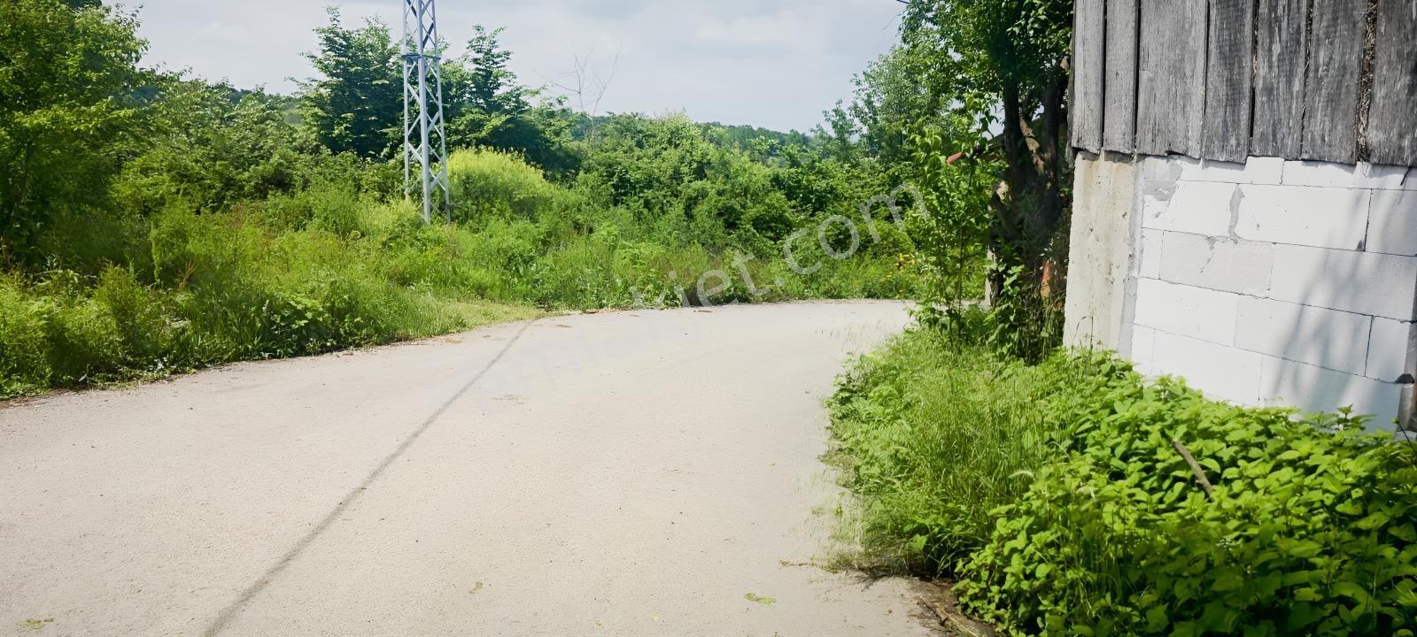 4710 Metrekare Yol Su Elektrik Var.ful Fındık Dikili Merkezde. - Görsel 2