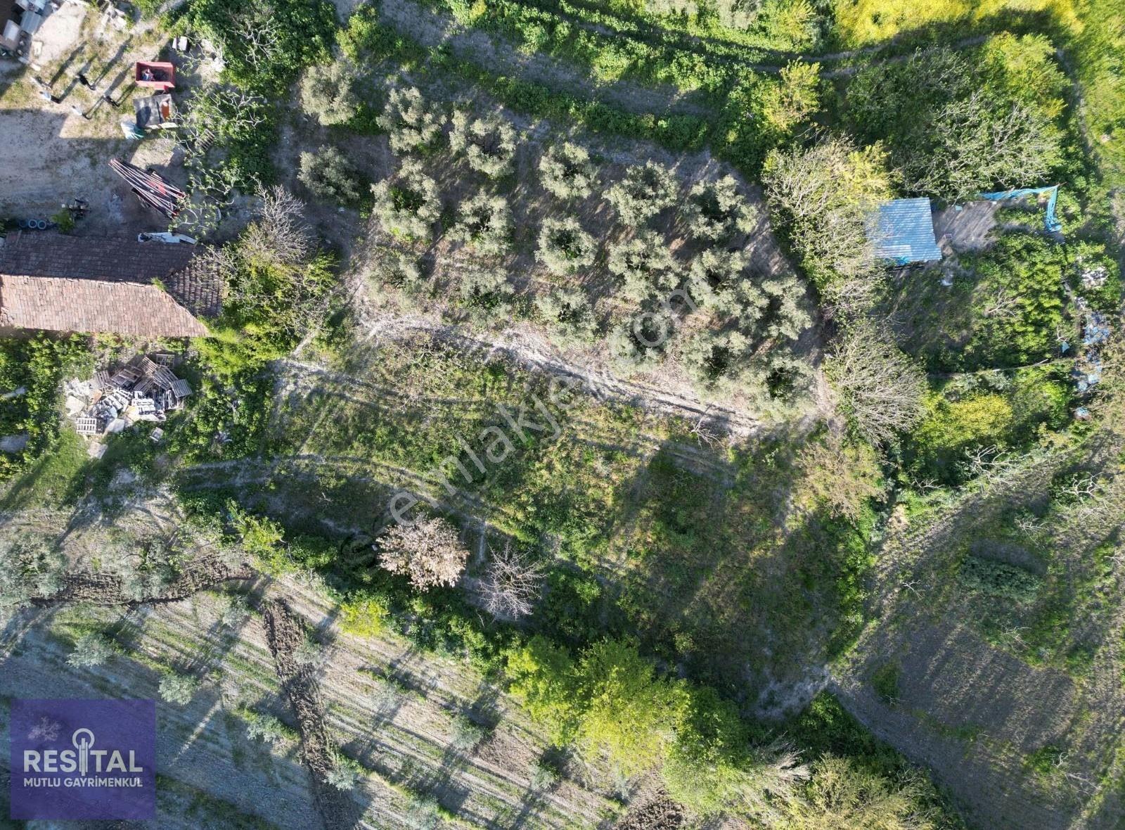 Rs Mutlu Konaklı Da Harika Yaşam Fırsatı 637 Köy İçi Bahçe - Görsel 5
