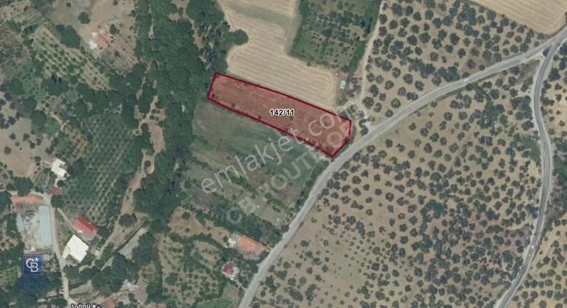Balıkesir Havran İnönüde Anayola Sıfır Satılık Meyve Bahçesi - Görsel 2