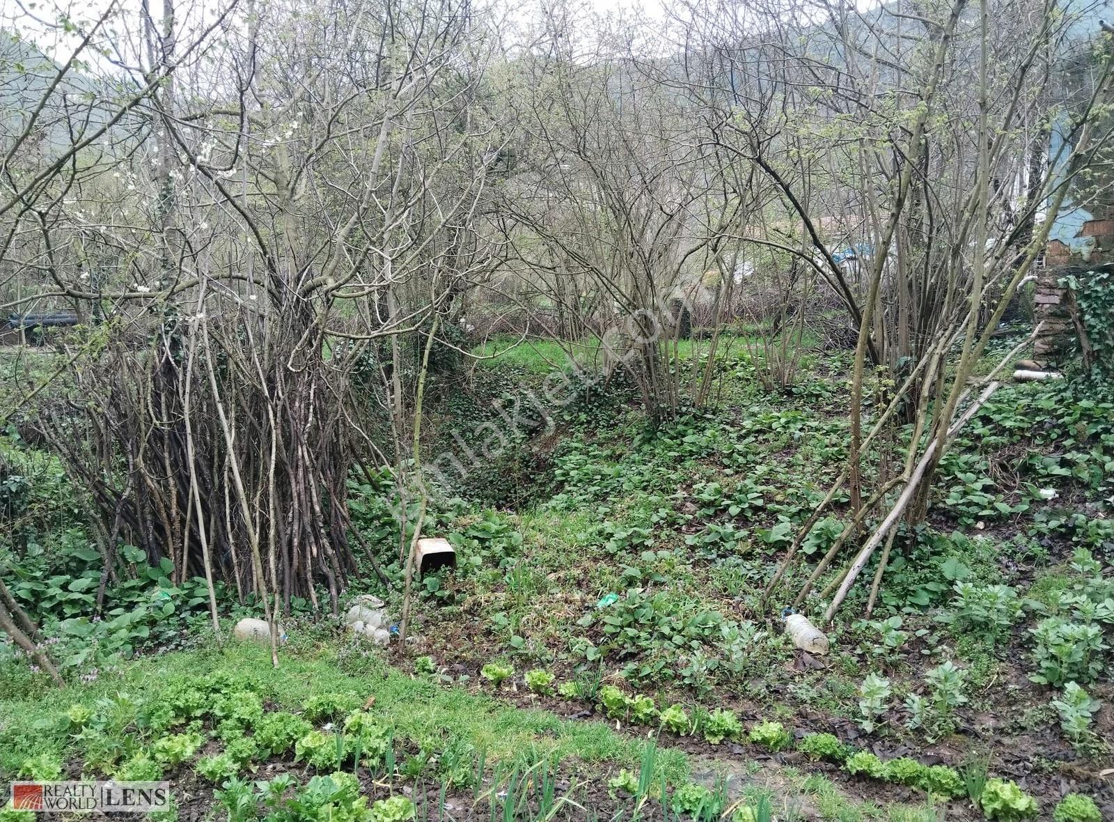Sakarya Geyve Epçeler' De Satılık Müstakil Ev
