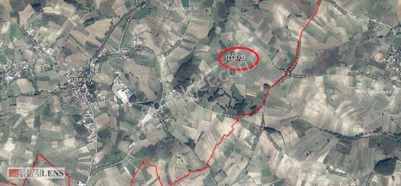 Sakarya Kaynarcada Yola Cephe Yerleşime Yakın - Görsel 3