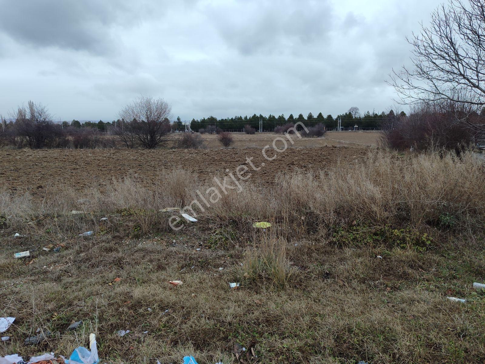 Asel'den Altıntaş-banaz Yolu Benzinlik İzinli 10.000 M2 Arsa - Görsel 6