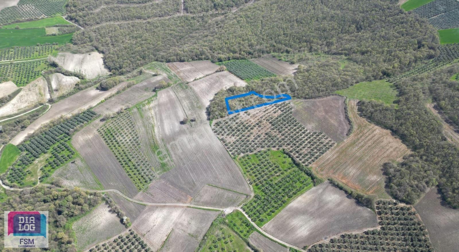 Bursa Teknosap Ve Deri Organize Sanayi Bölgesine Yakın 3700 M2 - Görsel 13