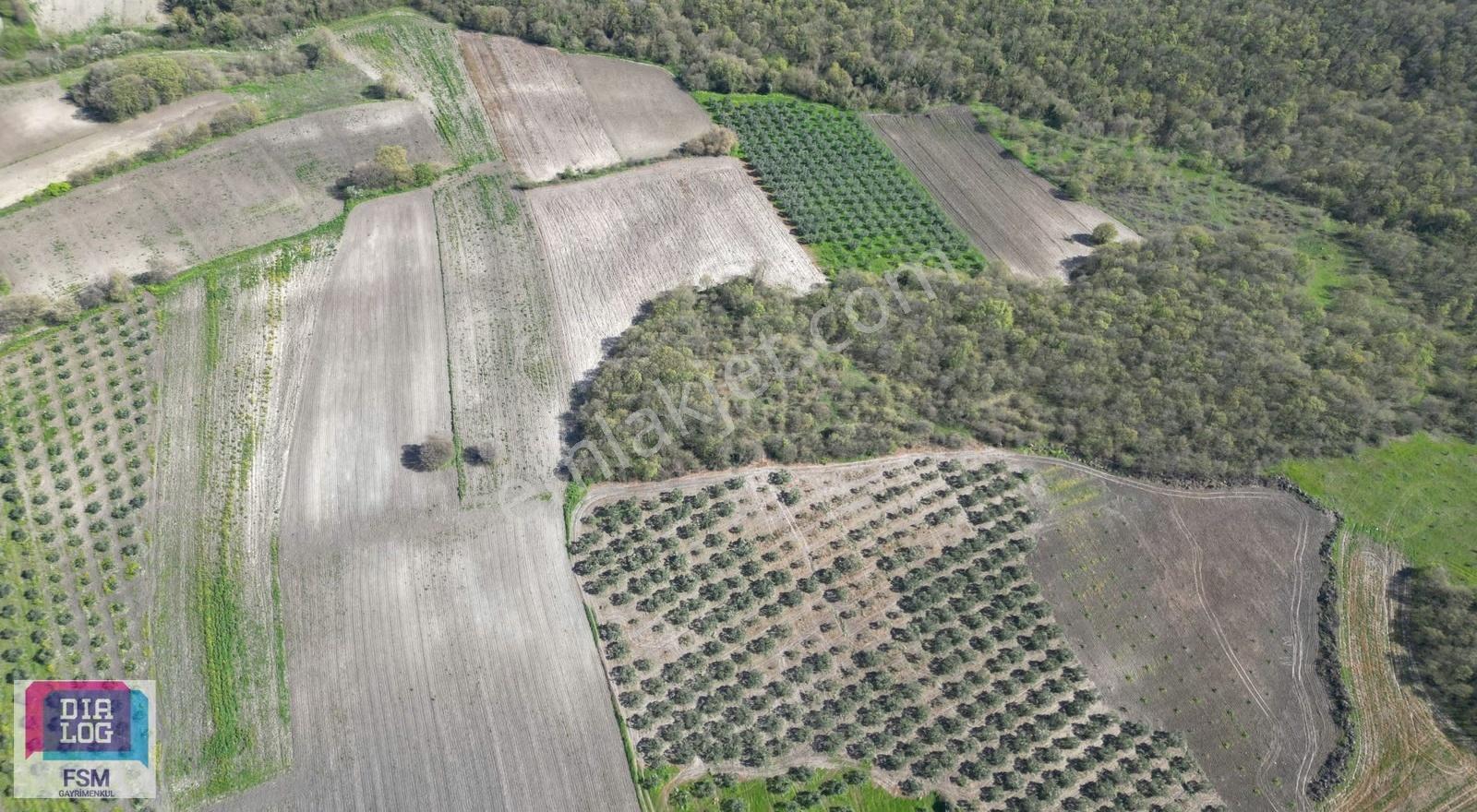 Bursa Teknosap Ve Deri Organize Sanayi Bölgesine Yakın 3700 M2 - Görsel 15