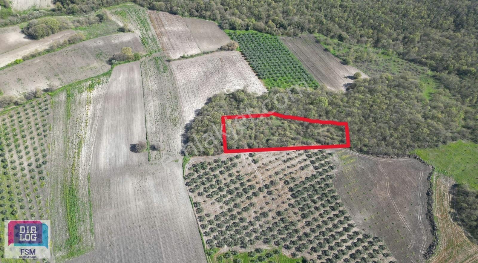 Bursa Teknosap Ve Deri Organize Sanayi Bölgesine Yakın 3700 M2 - Görsel 11