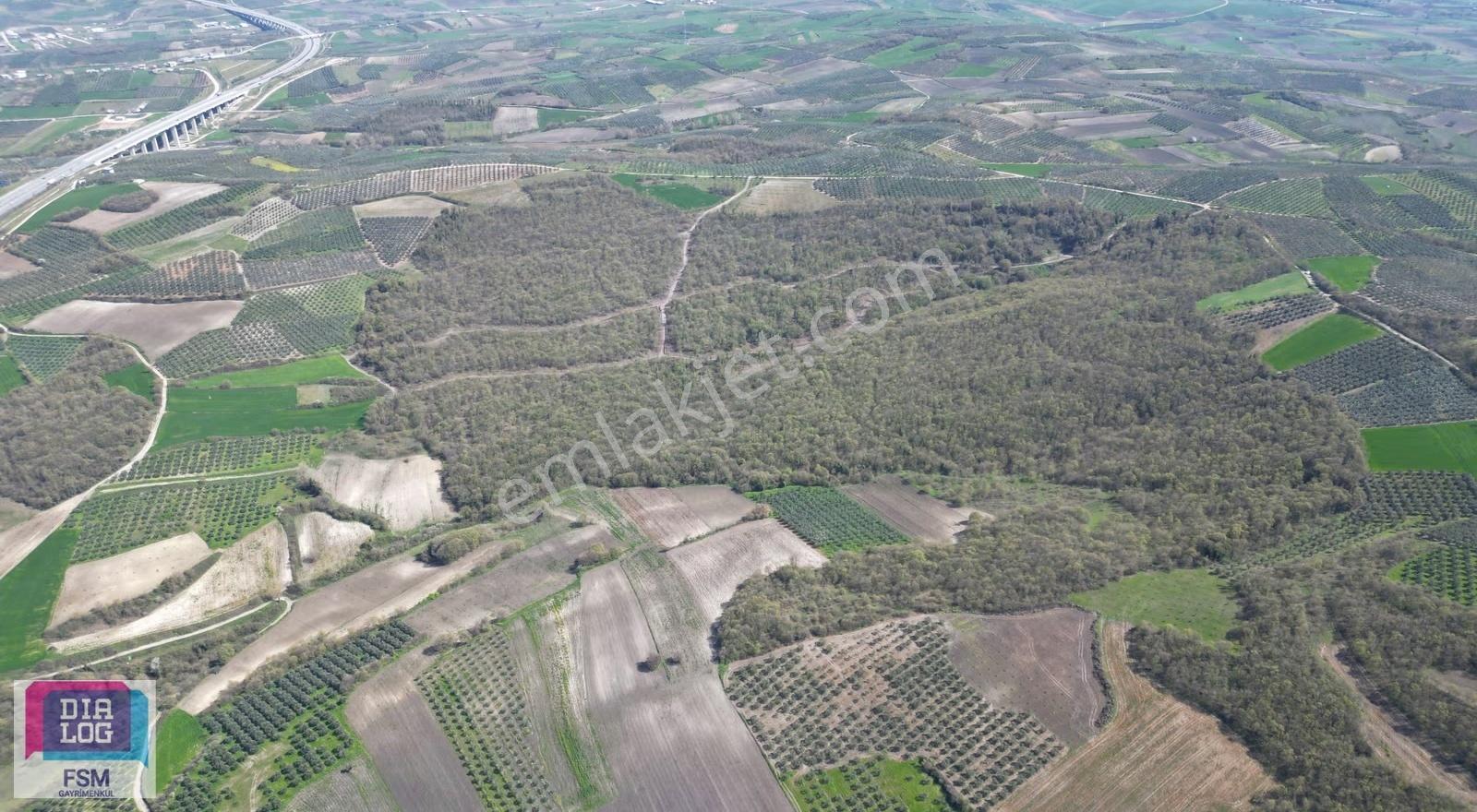Bursa Teknosap Ve Deri Organize Sanayi Bölgesine Yakın 3700 M2 - Görsel 3