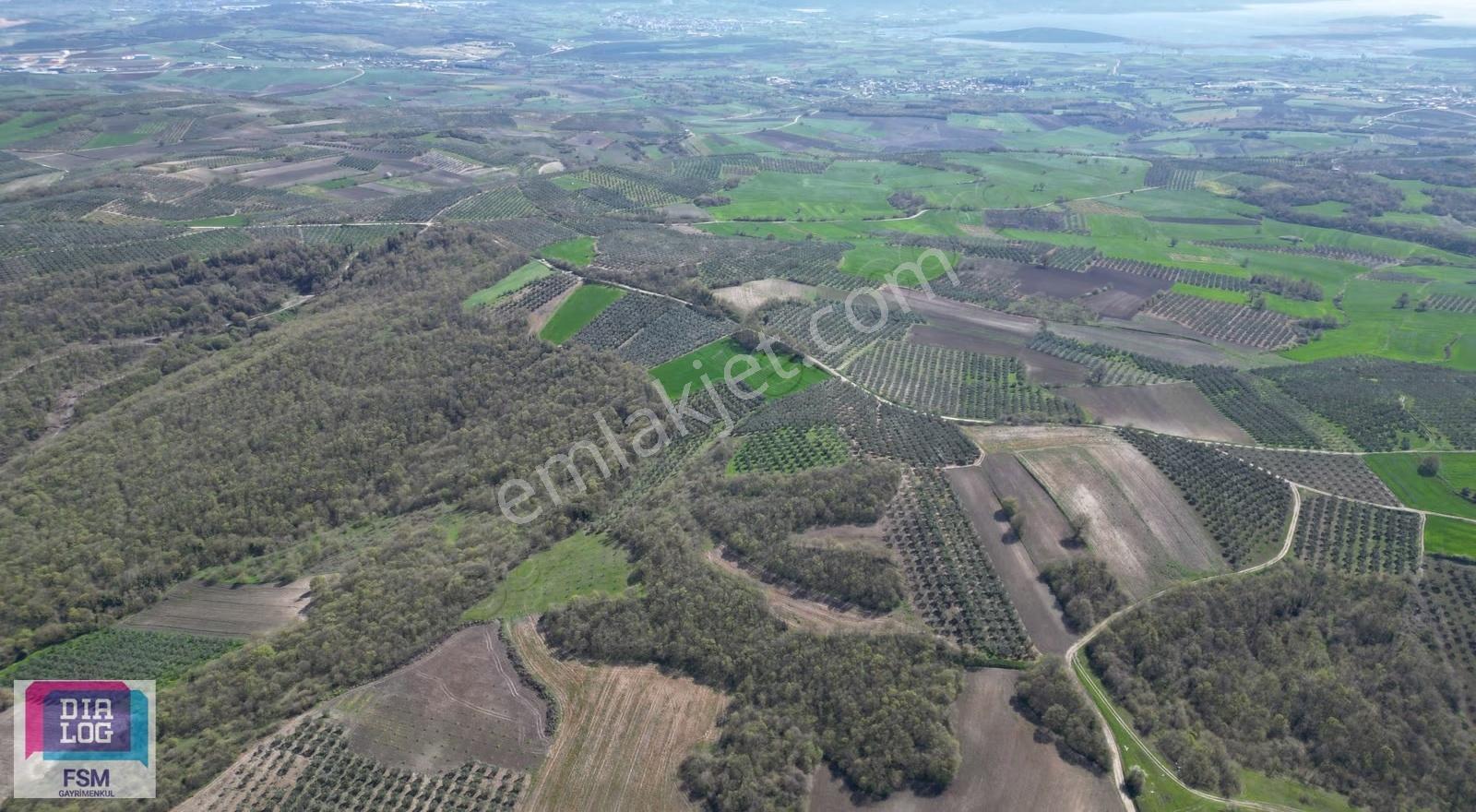 Bursa Teknosap Ve Deri Organize Sanayi Bölgesine Yakın 3700 M2 - Görsel 18