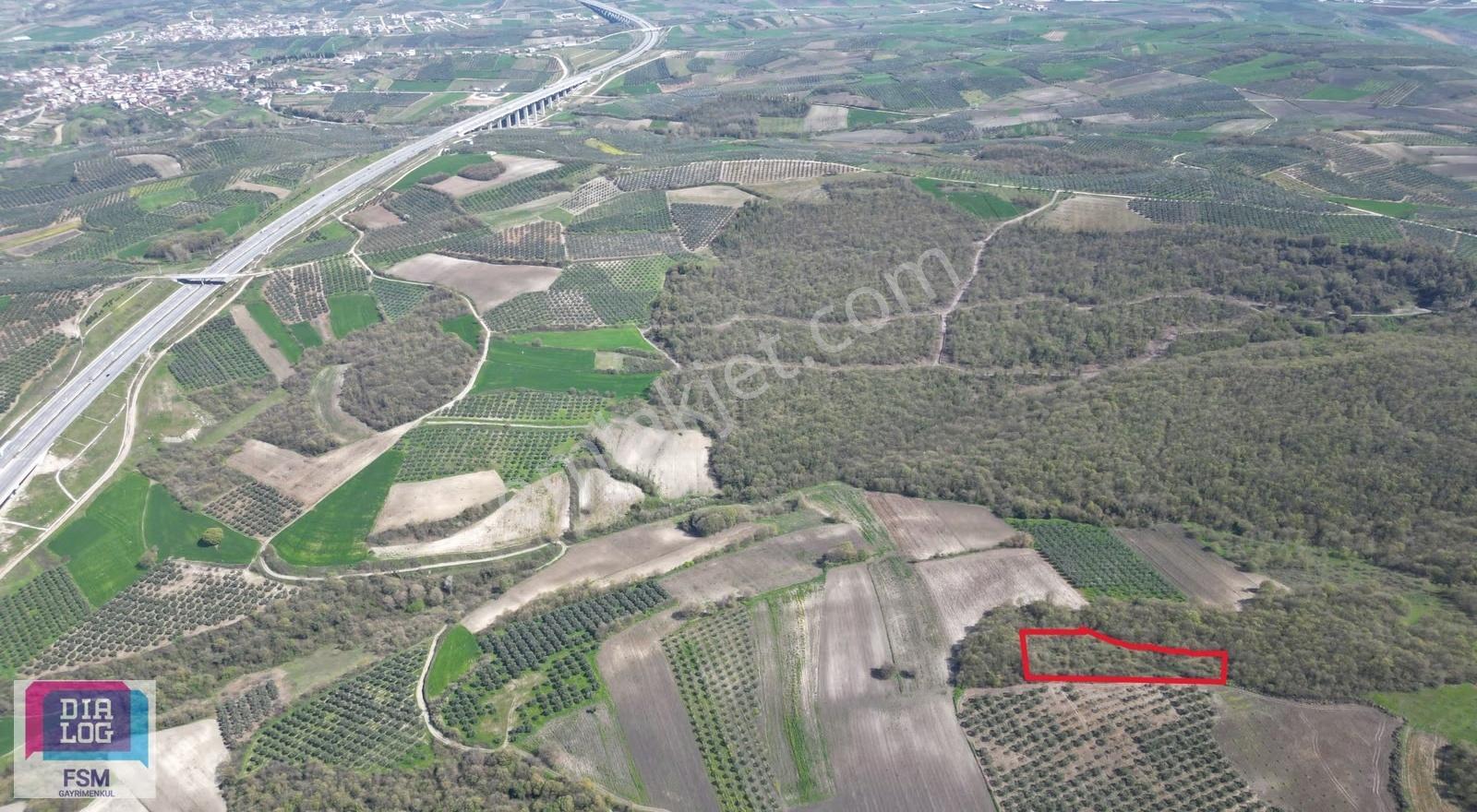 Bursa Teknosap Ve Deri Organize Sanayi Bölgesine Yakın 3700 M2 - Görsel 4