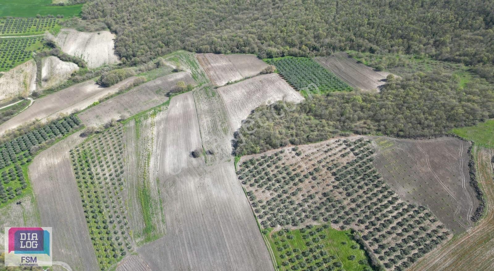 Bursa Teknosap Ve Deri Organize Sanayi Bölgesine Yakın 3700 M2 - Görsel 16