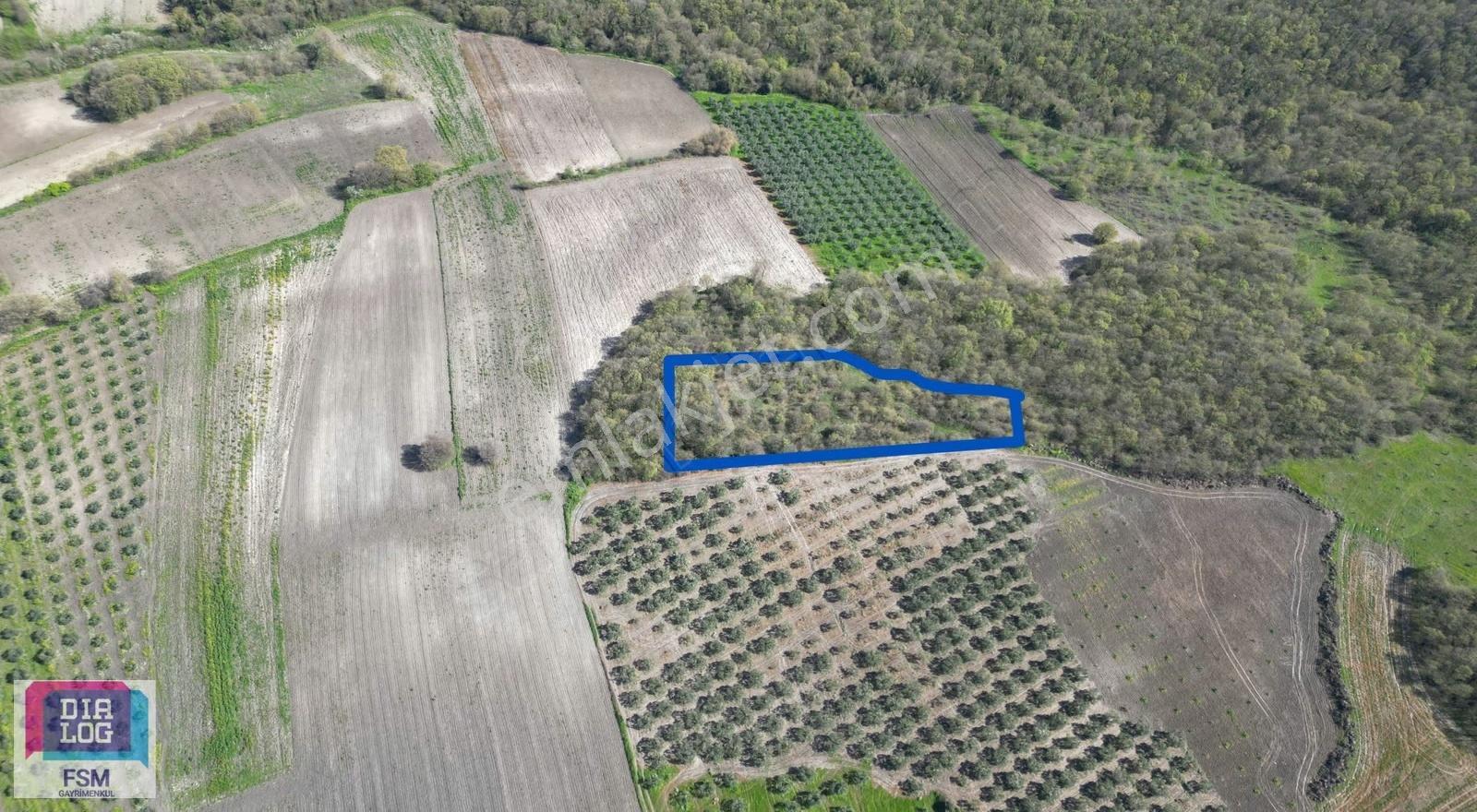 Bursa Teknosap Ve Deri Organize Sanayi Bölgesine Yakın 3700 M2 - Görsel 22