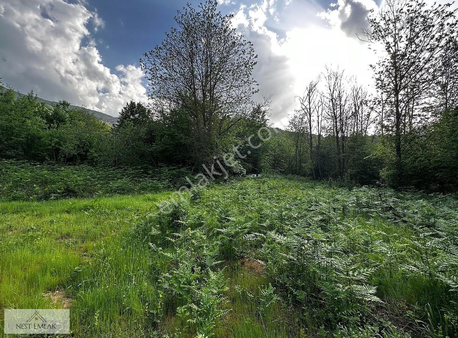5097 M2 İçinde 3 Adet Müstakil Ev - Görsel 14