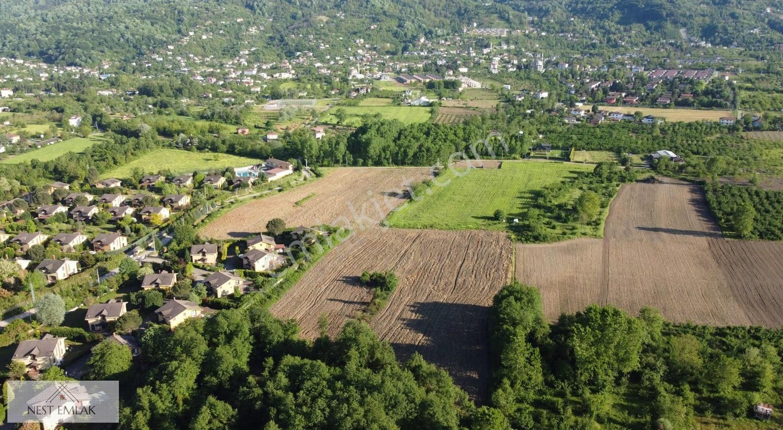 Balaban Da 5.546 M2 - Görsel 13