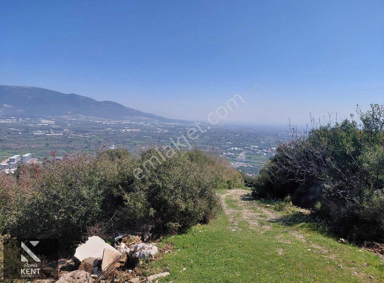 Kemalpaşa Soğukpınar Acil!!! Satılık 2,877m2 Bahçe