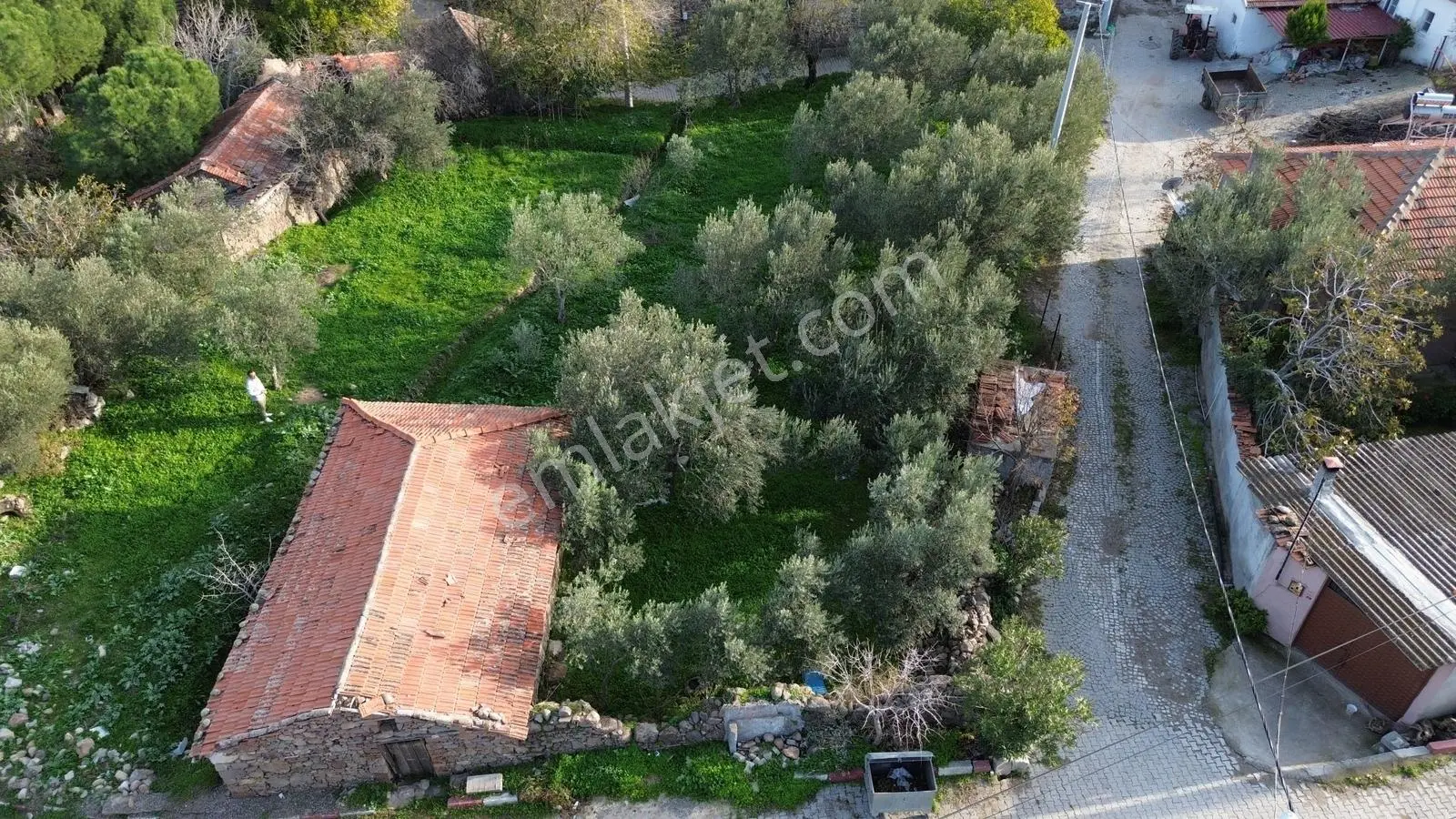İzmir Bergama Doğancı Köy Merkezinde 590 M2 Satılık İmarlı Arsa
