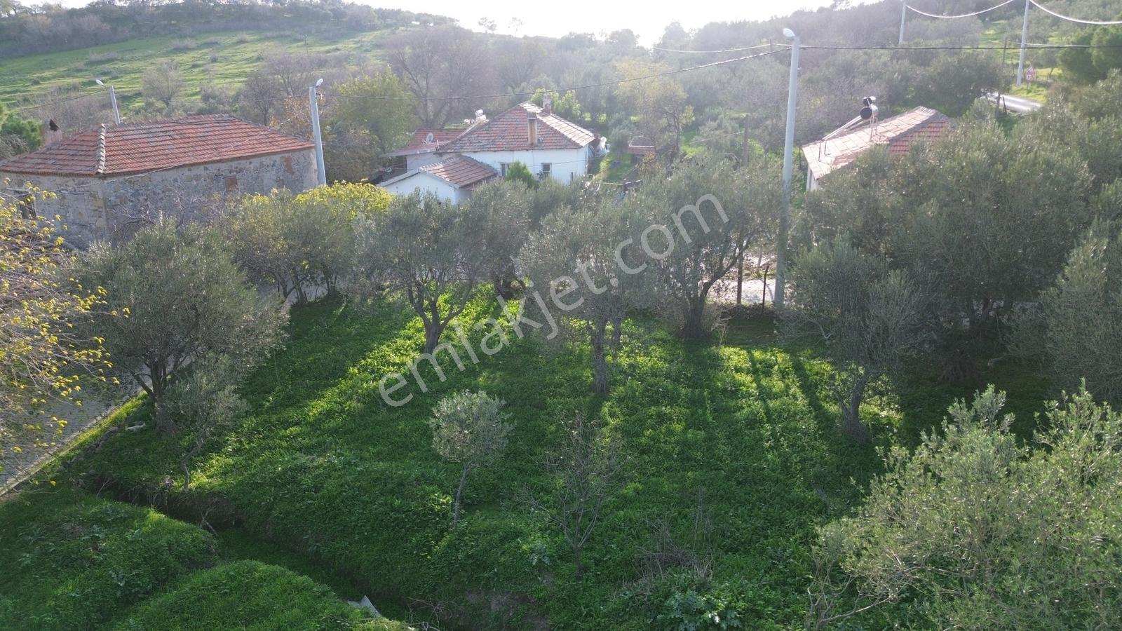 İzmir Bergama Doğancı Köy Merkezinde 590 M2 Satılık İmarlı Arsa - Görsel 10