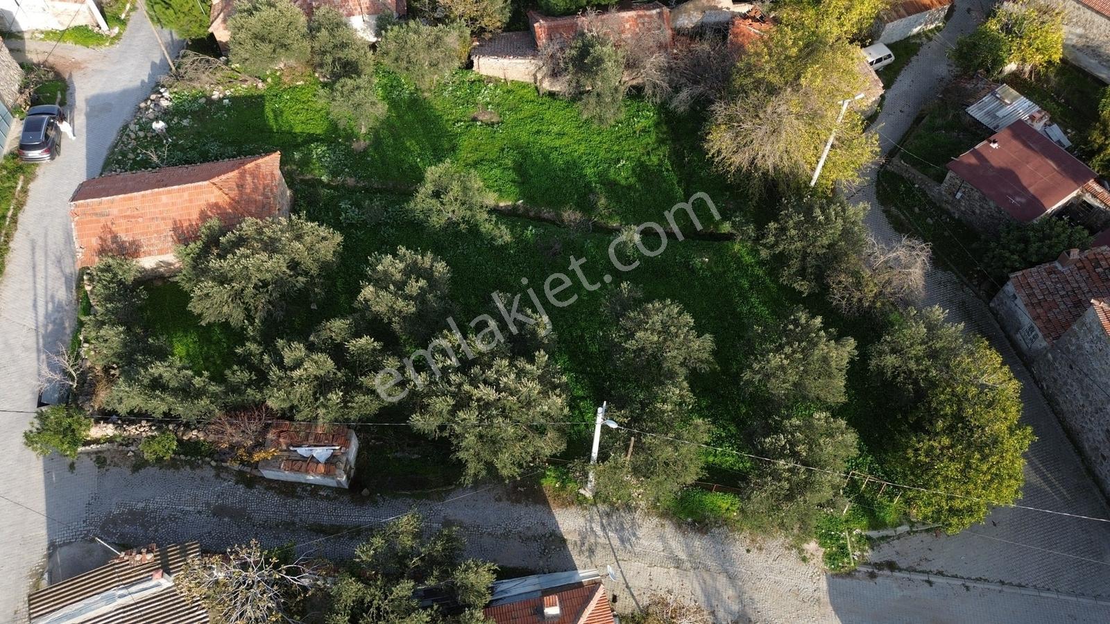 İzmir Bergama Doğancı Köy Merkezinde 590 M2 Satılık İmarlı Arsa - Görsel 27