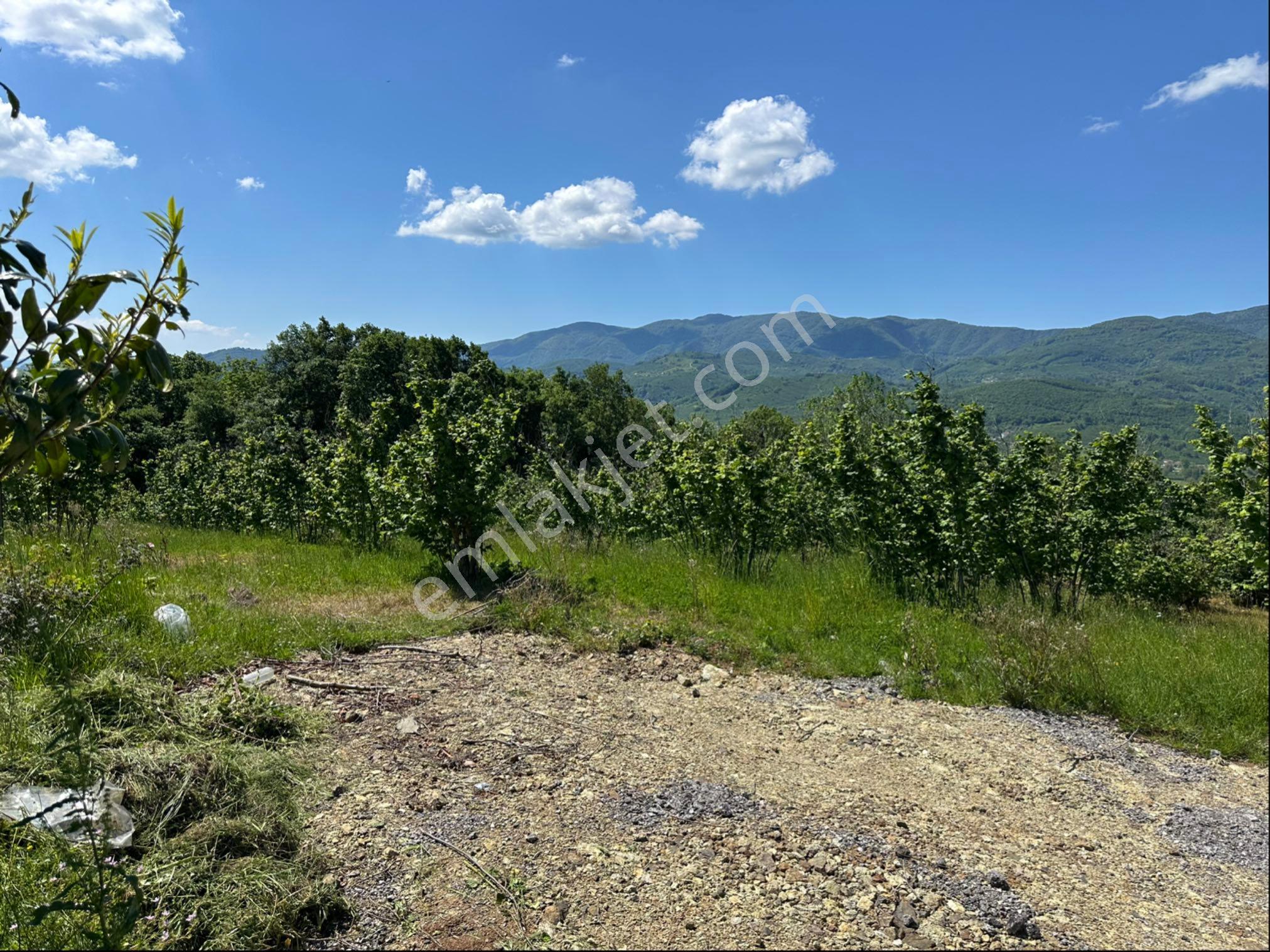 Konuralpte Satılık 3 Kat %40 Konut İmarlı 7027 M2 Arsa - Görsel 7