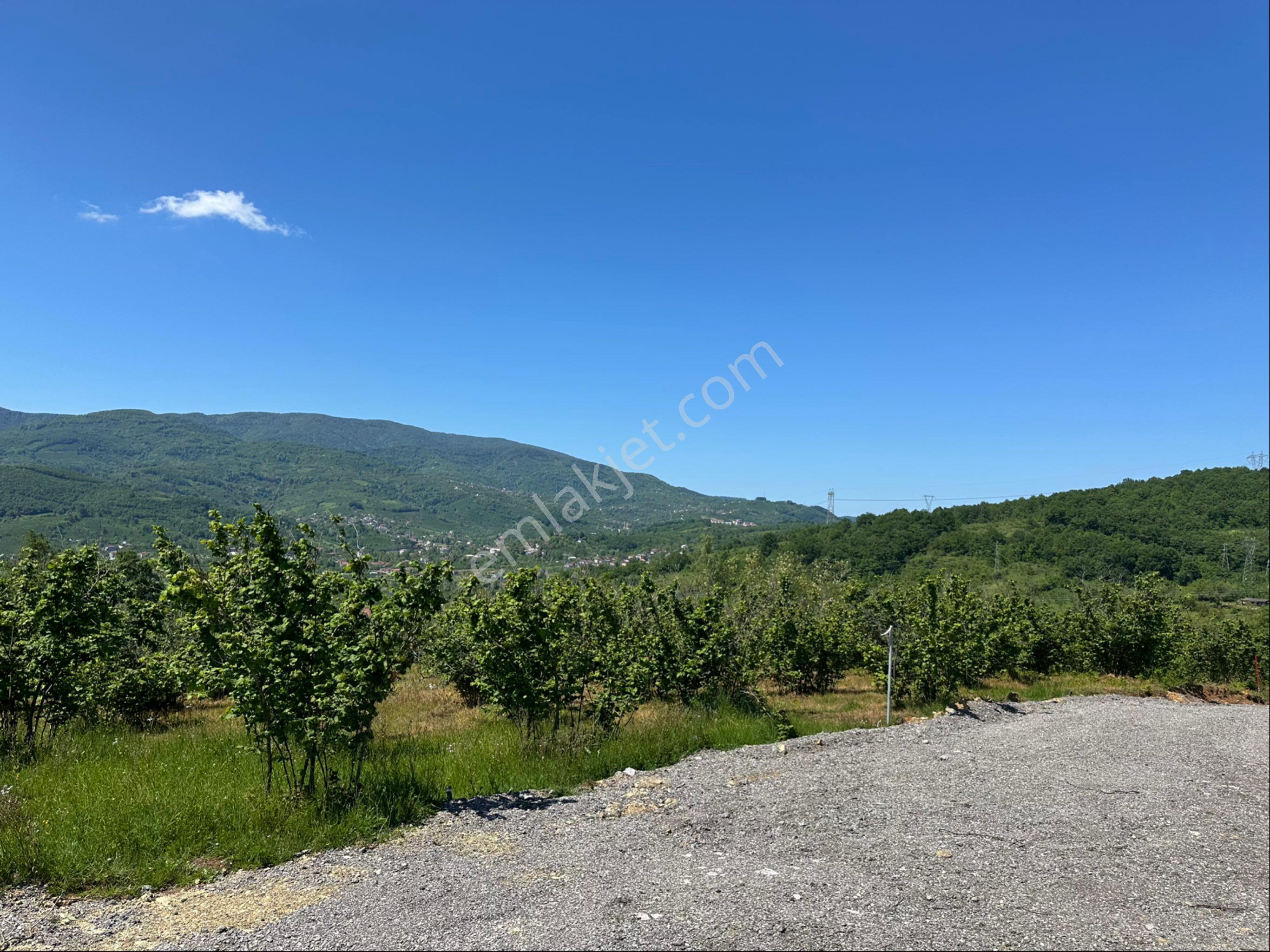 Konuralpte Satılık 3 Kat %40 Konut İmarlı 7027 M2 Arsa - Görsel 9