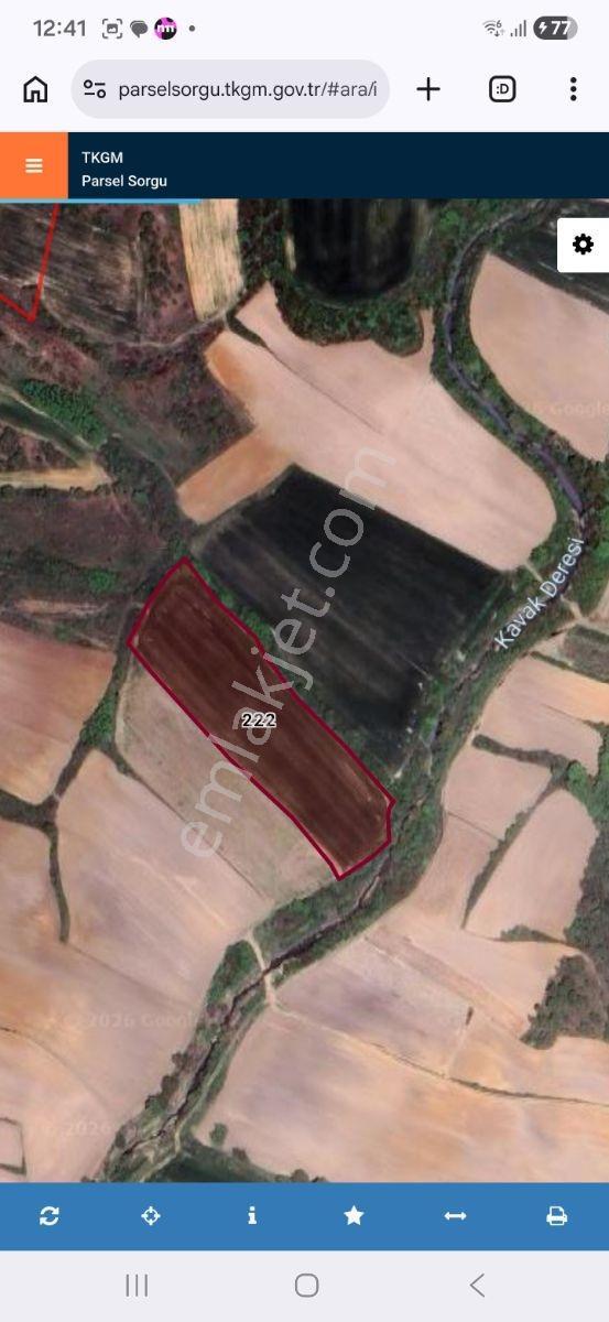 Emlakyap Tan Kavakdere De Satılık 13.500m2 Arazi - Görsel 3