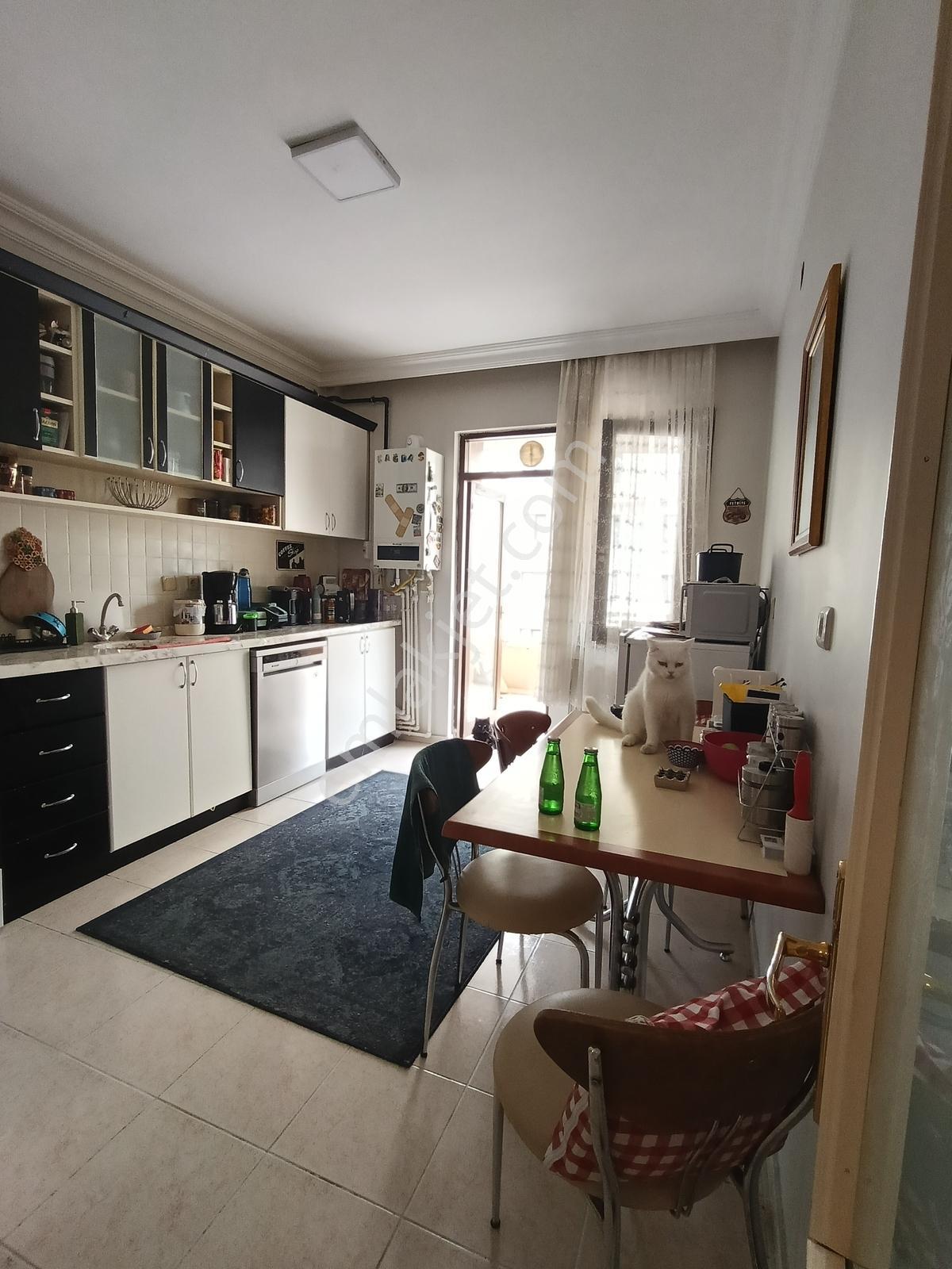Polat Livedan Çukurambar Yüksek Prestijli Bölgesinde Satılık 4+1 - Görsel 9