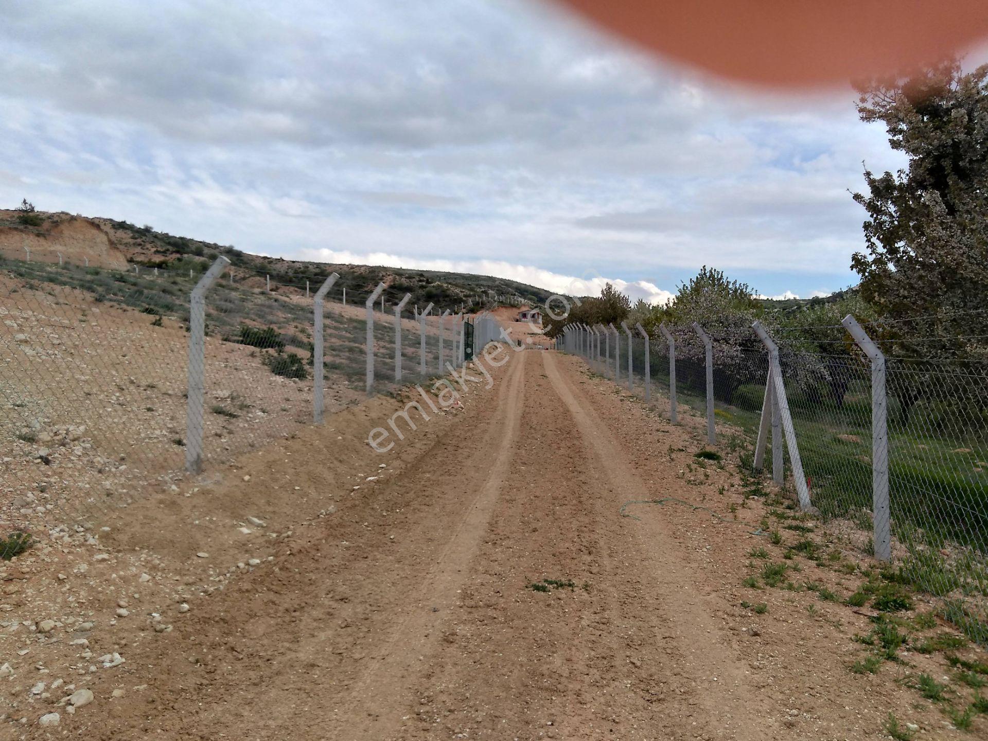 Ayaş Ortaberekette 1.800 M2 Hobi Bahçelerinin Olduğu Yerde Tapulu 1.800.000 Tl. Satılık Bahçe Yeri - Görsel 3