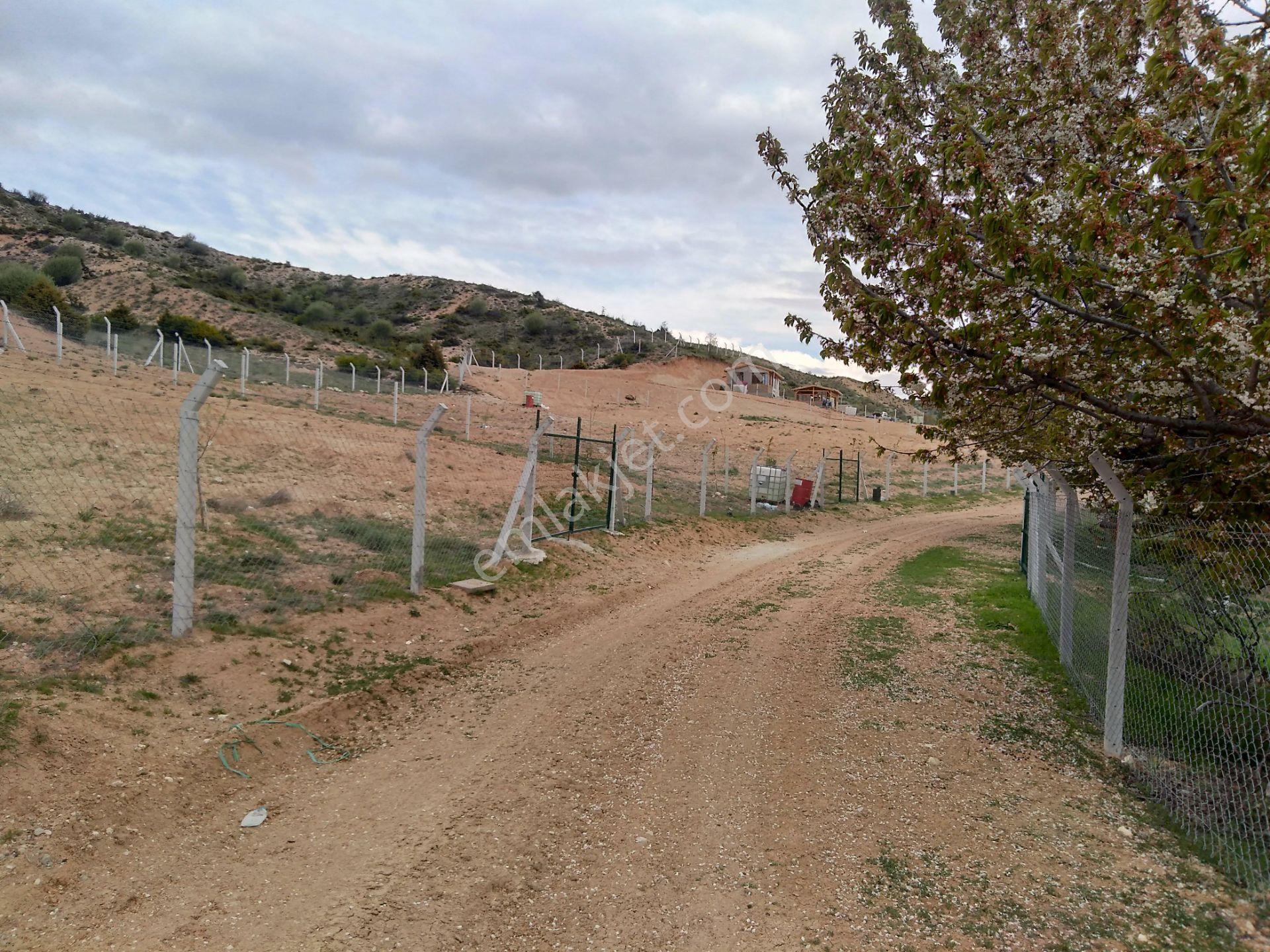 Ayaş Ortaberekette 1.800 M2 Hobi Bahçelerinin Olduğu Yerde Tapulu 1.800.000 Tl. Satılık Bahçe Yeri - Görsel 5
