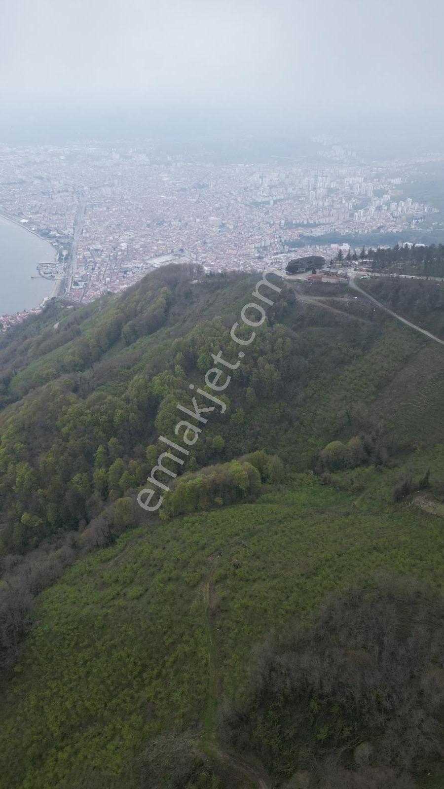 Ordu Boztepede Eşsiz Deniz Manzaralı 5600 M² Yatırımlık Arsa - Görsel 11