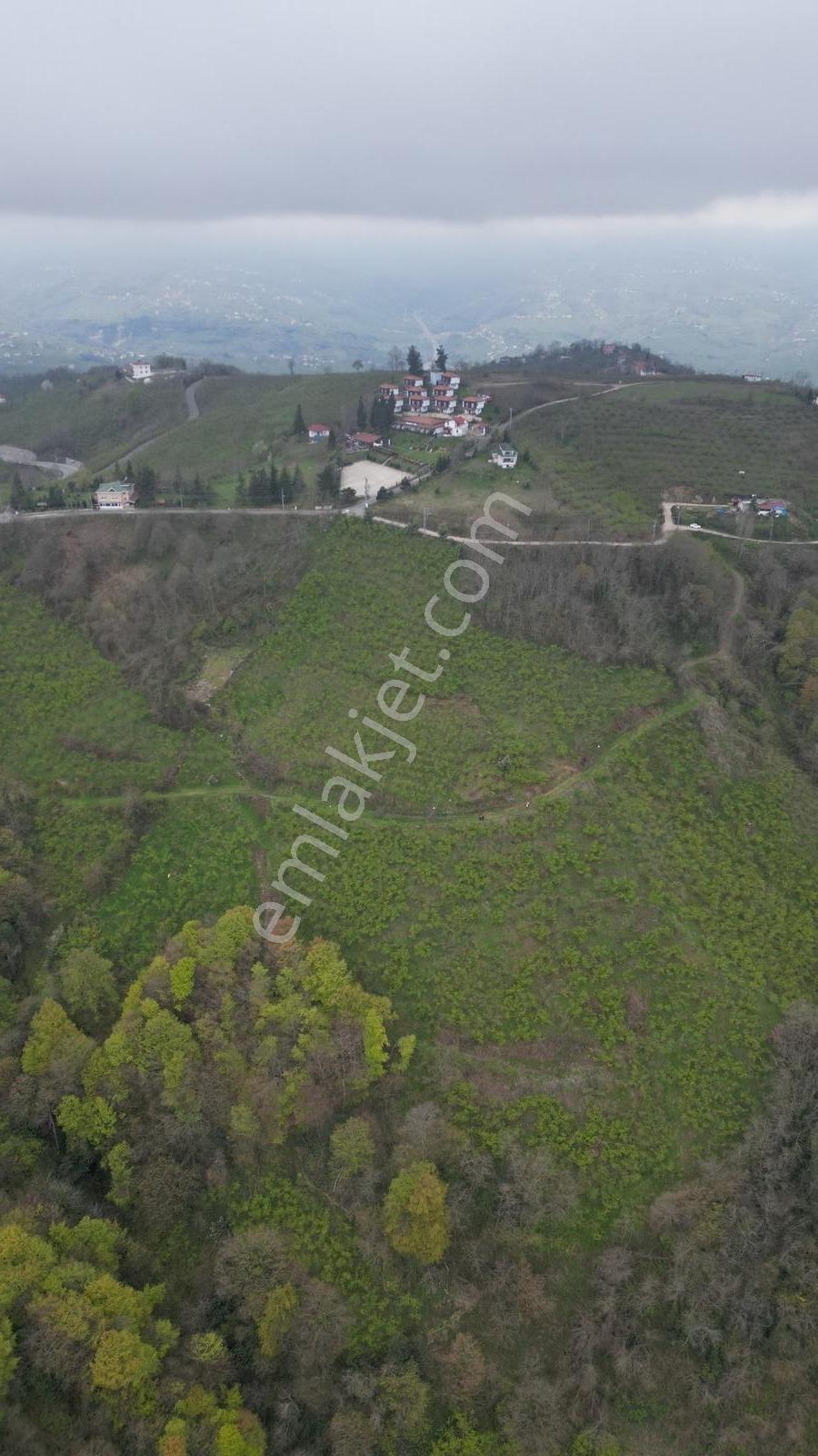 Ordu Boztepede Eşsiz Deniz Manzaralı 5600 M² Yatırımlık Arsa - Görsel 4
