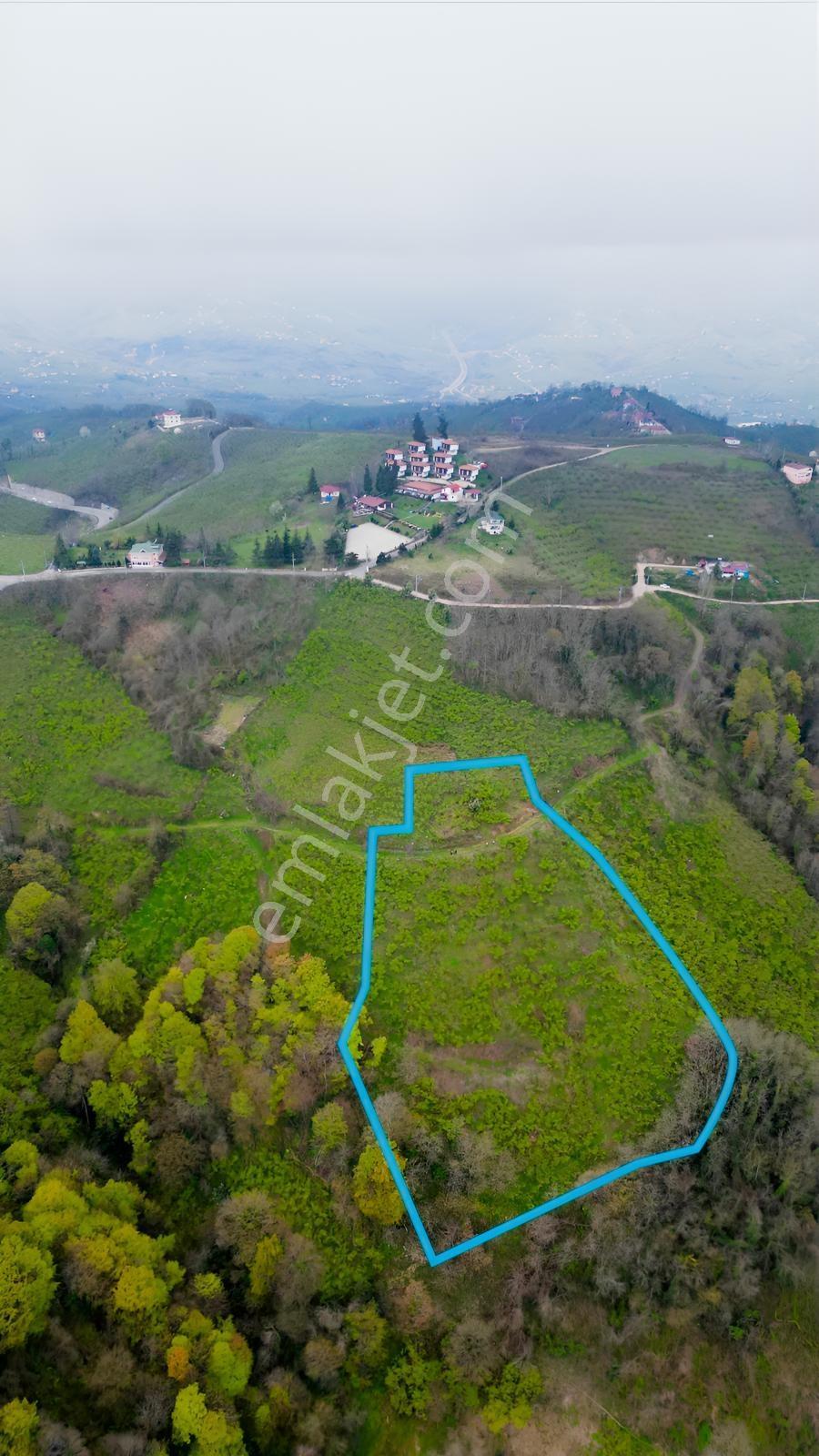 Ordu Boztepede Eşsiz Deniz Manzaralı 5600 M² Yatırımlık Arsa - Görsel 16
