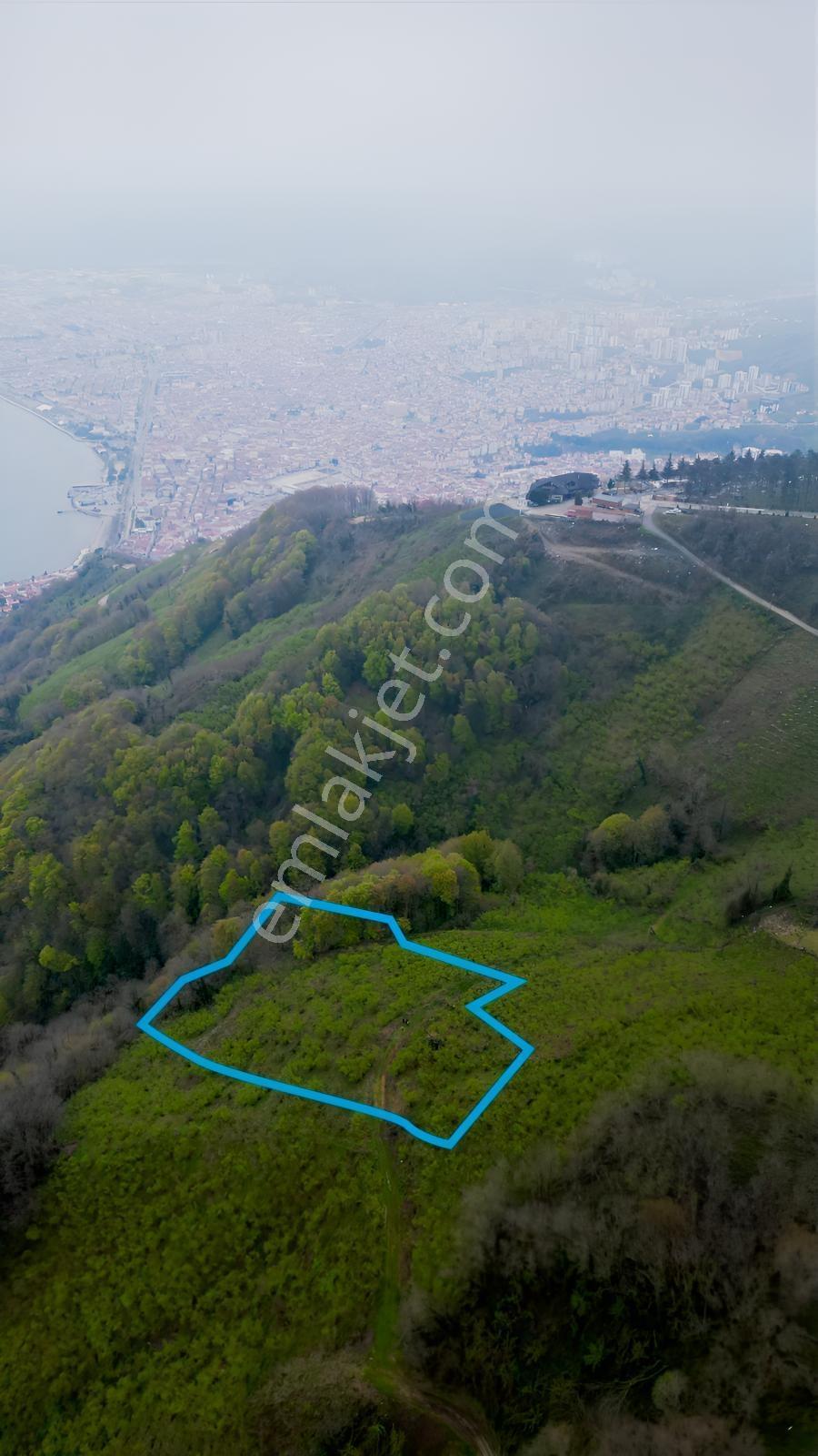 Ordu Boztepede Eşsiz Deniz Manzaralı 5600 M² Yatırımlık Arsa - Görsel 18