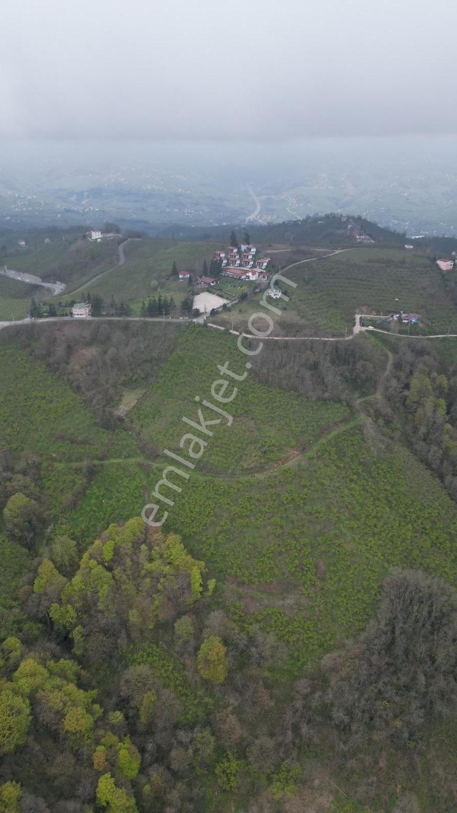 Ordu Boztepede Eşsiz Deniz Manzaralı 5600 M² Yatırımlık Arsa - Görsel 6