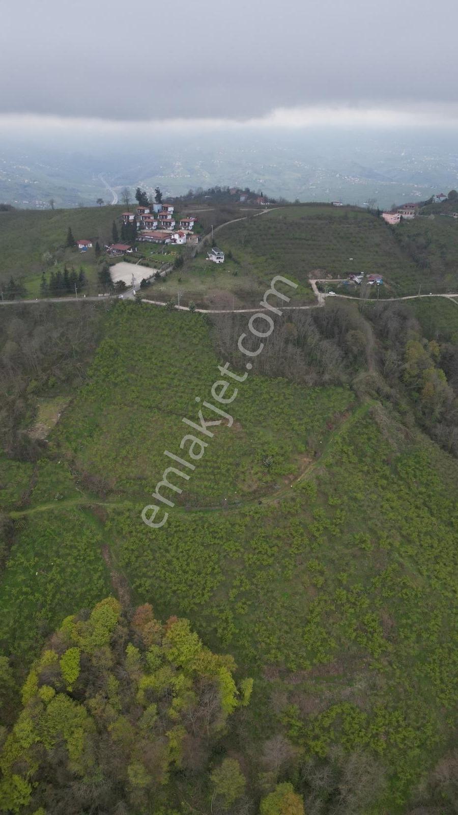 Ordu Boztepede Eşsiz Deniz Manzaralı 5600 M² Yatırımlık Arsa - Görsel 8