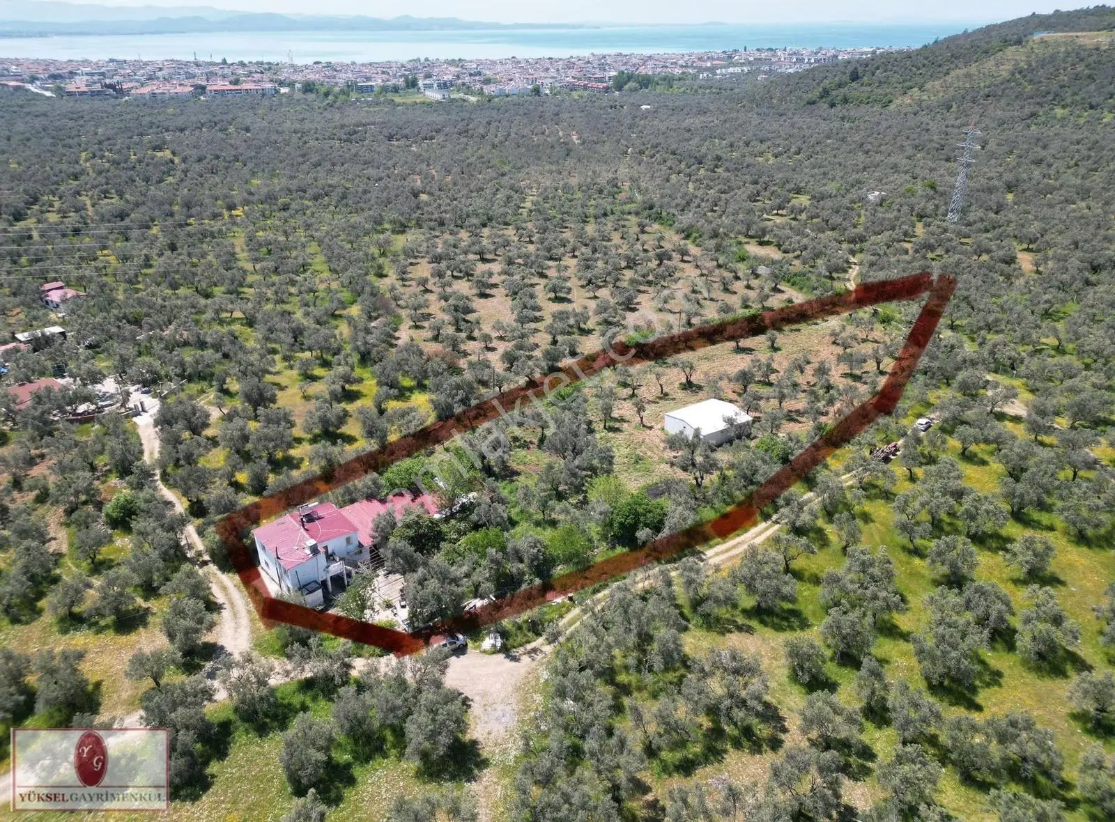 ▓▓ Yüksel'den Kzılkeçili'de Köşe Parselli İmara 100m Zeytinlik▓▓ - Görsel 30