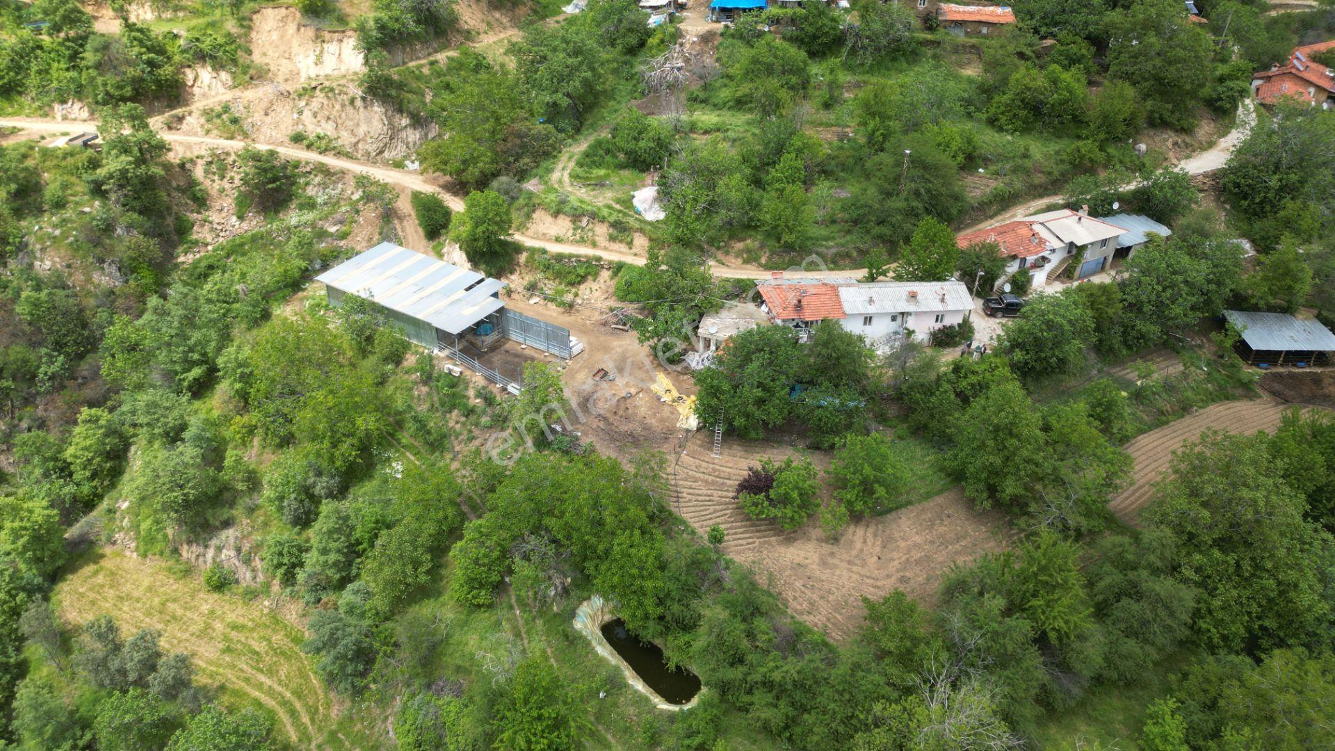 Antika'dan Dokuzlar Köyünde İçinde Evi-damı Olan Satılık Bahçe - Görsel 8