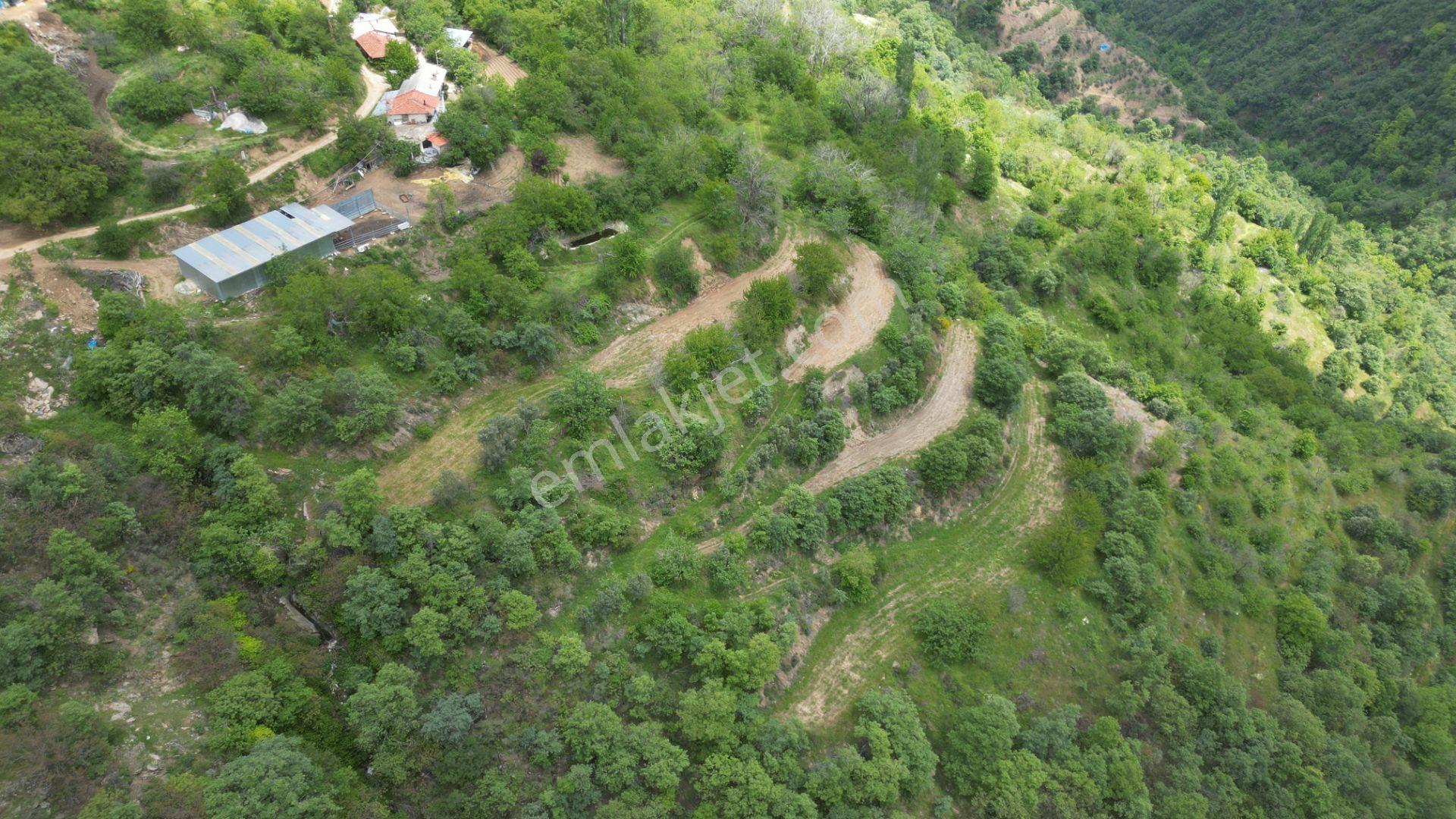 Antika'dan Dokuzlar Köyünde İçinde Evi-damı Olan Satılık Bahçe - Görsel 6
