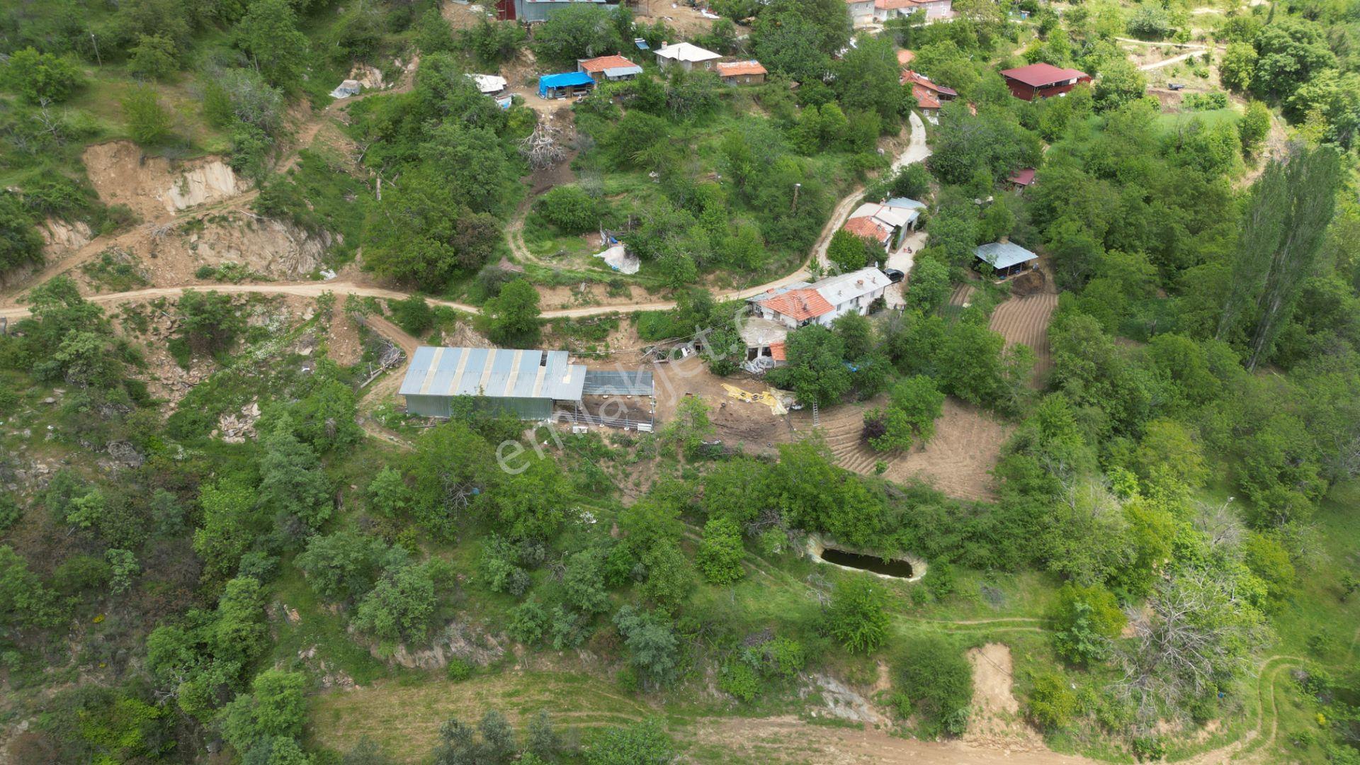 Antika'dan Dokuzlar Köyünde İçinde Evi-damı Olan Satılık Bahçe