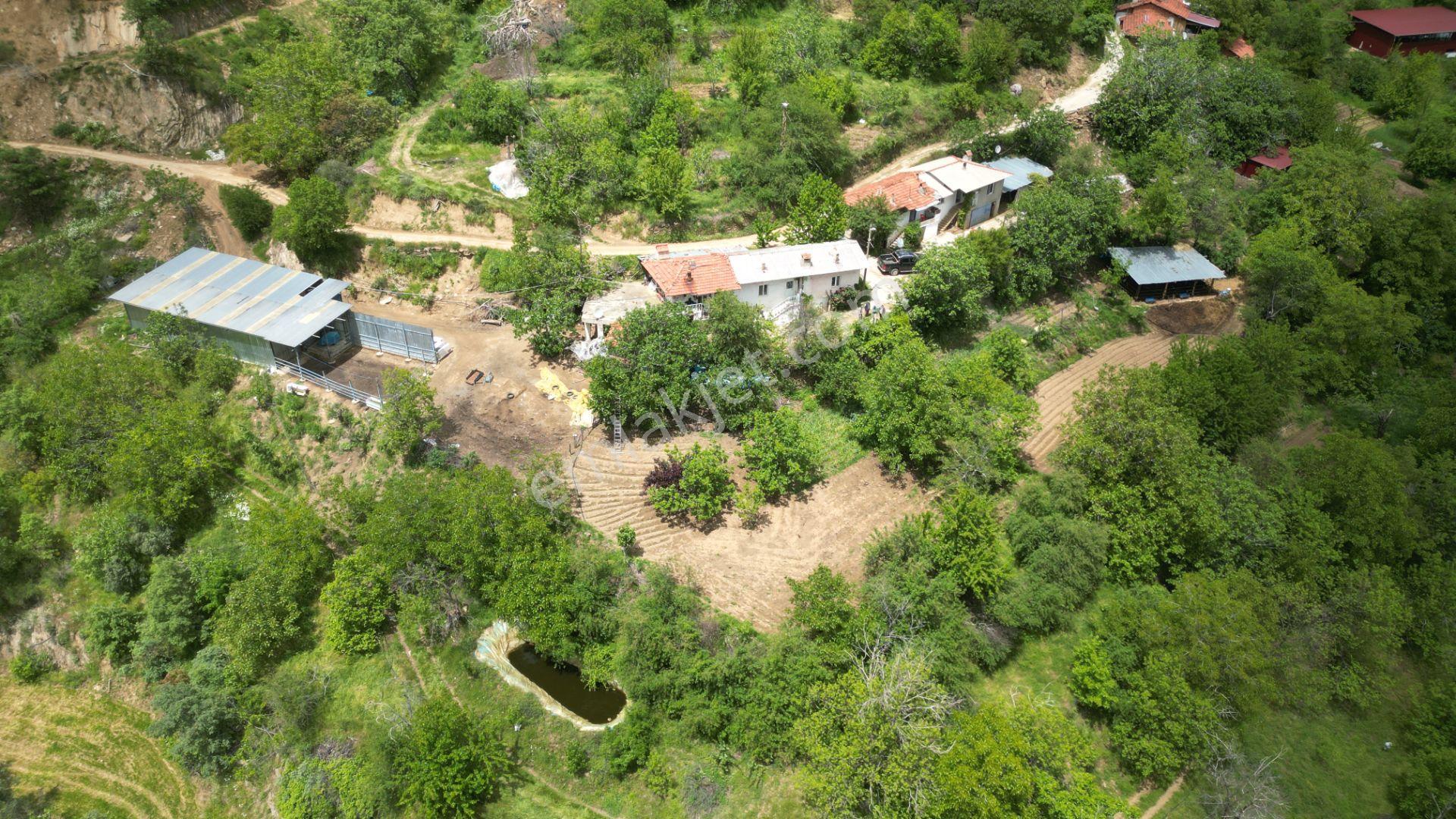 Antika'dan Dokuzlar Köyünde İçinde Evi-damı Olan Satılık Bahçe - Görsel 10