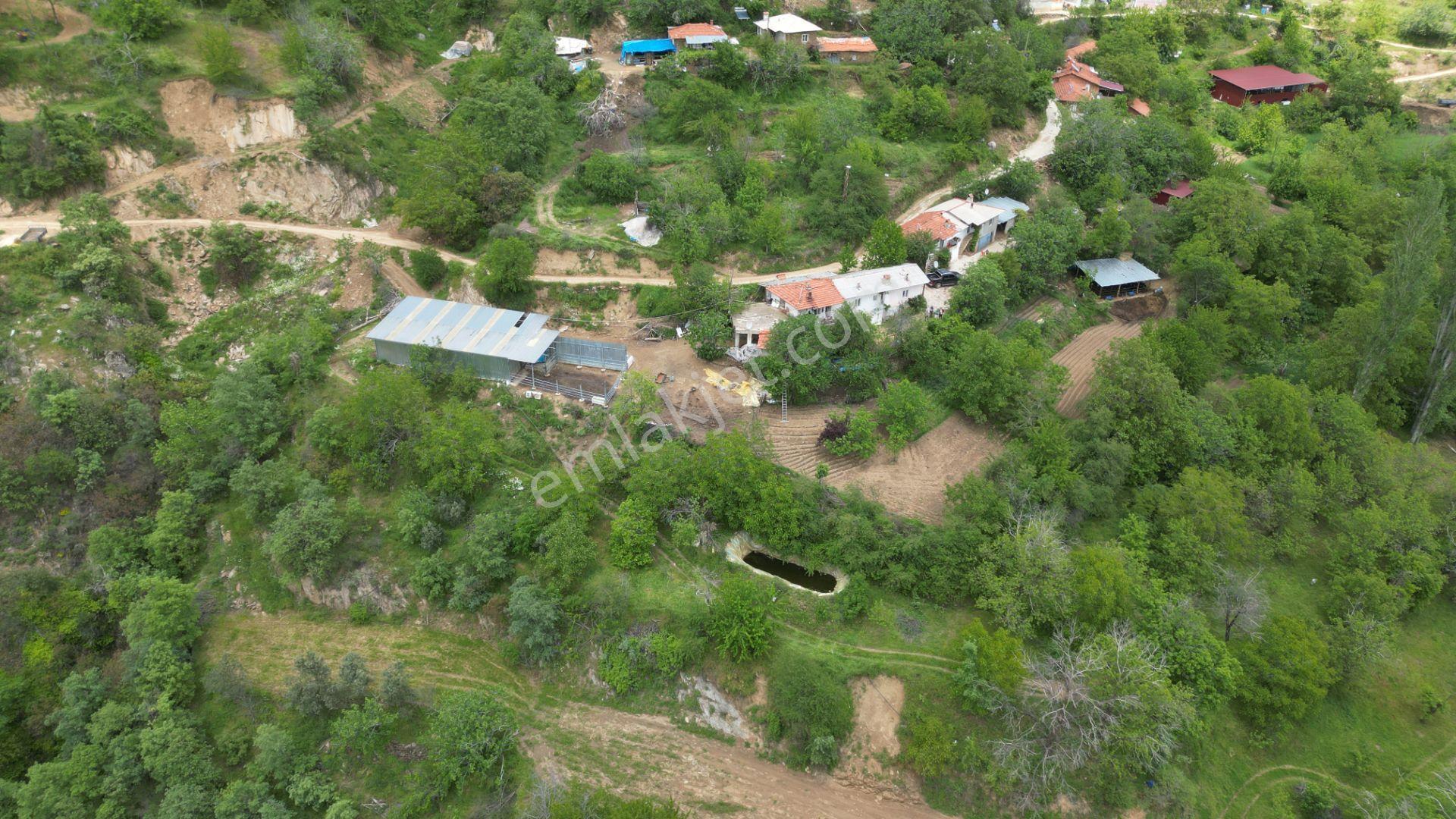 Antika'dan Dokuzlar Köyünde İçinde Evi-damı Olan Satılık Bahçe - Görsel 7
