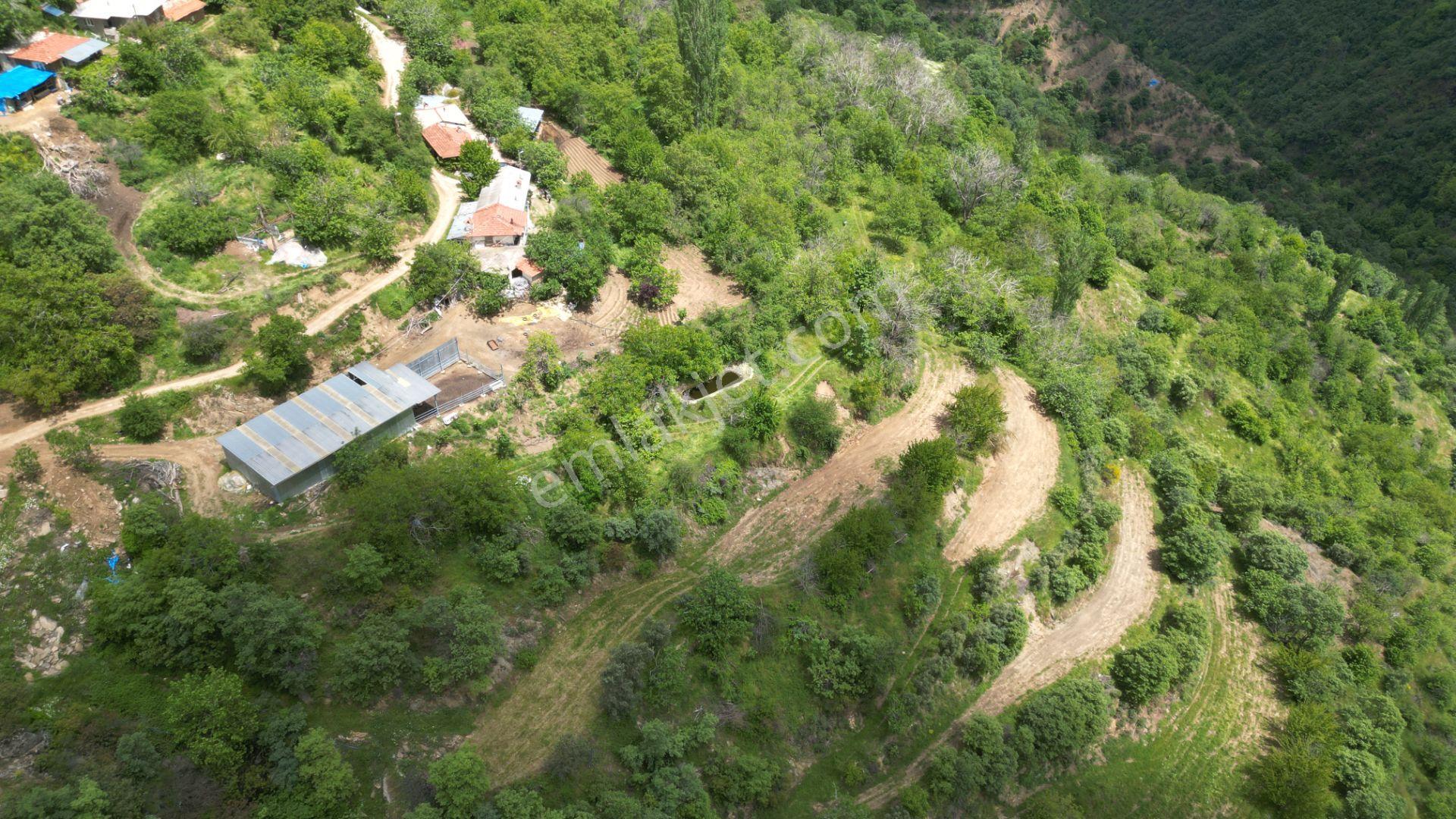 Antika'dan Dokuzlar Köyünde İçinde Evi-damı Olan Satılık Bahçe - Görsel 9