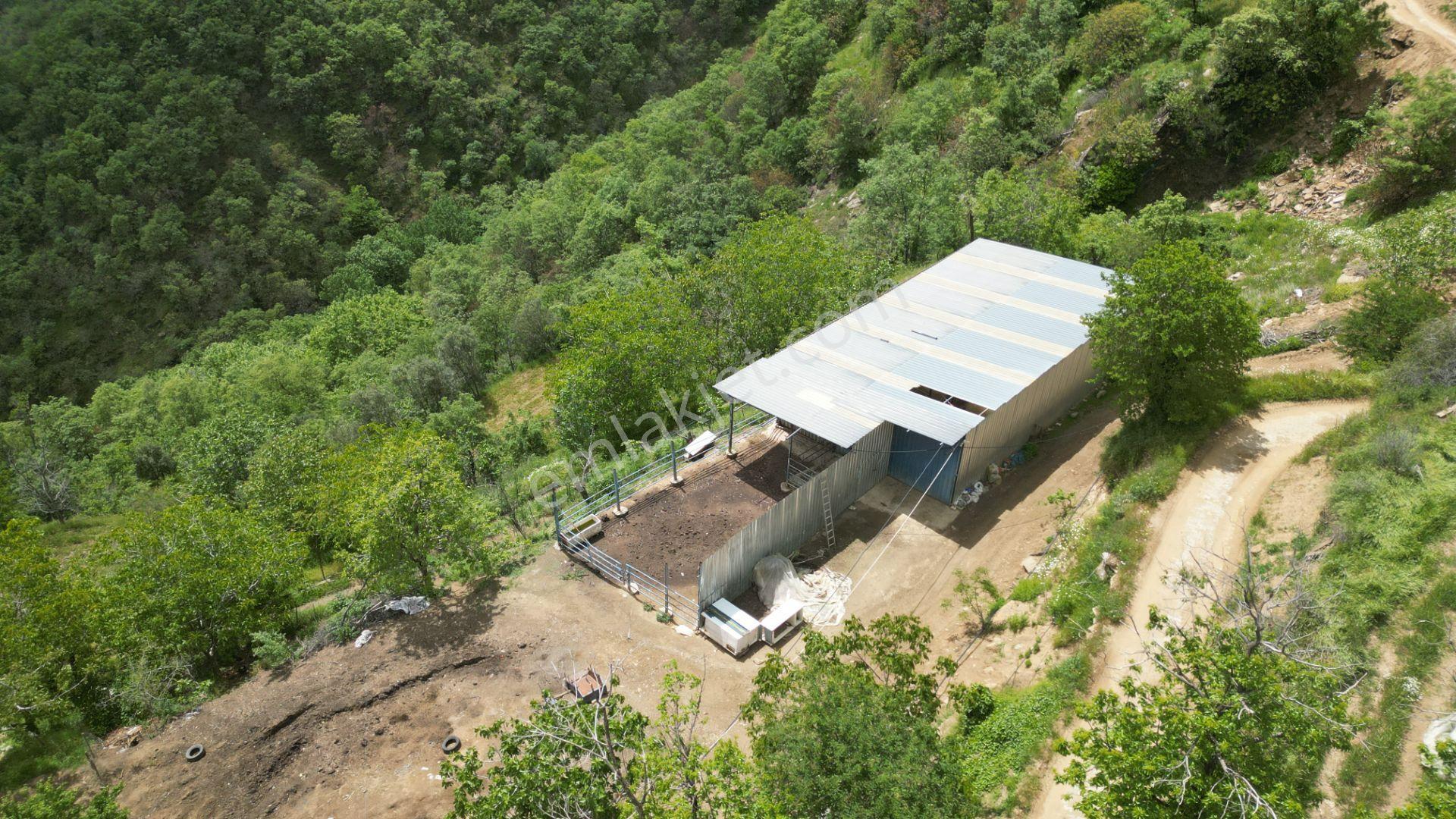 Antika'dan Dokuzlar Köyünde İçinde Evi-damı Olan Satılık Bahçe - Görsel 15